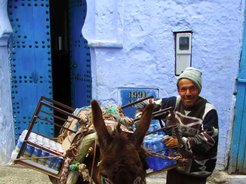 Begegnung in Chefchaouen: Ein Mann lächelt, während er sein mit Wasserflaschen beladenes Maultier durch eine blaue Gasse führt.