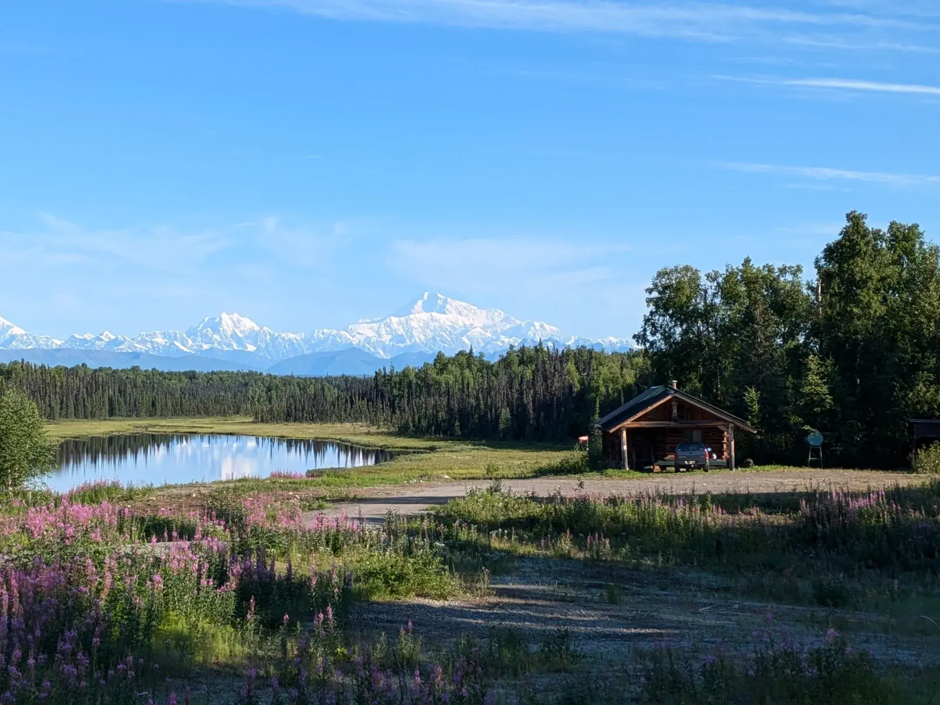 Rustikale Blockhütte an einem See bei Talkeetna mit blühendem Weidenröschen und Blick auf den schneebedeckten Mount Denali.