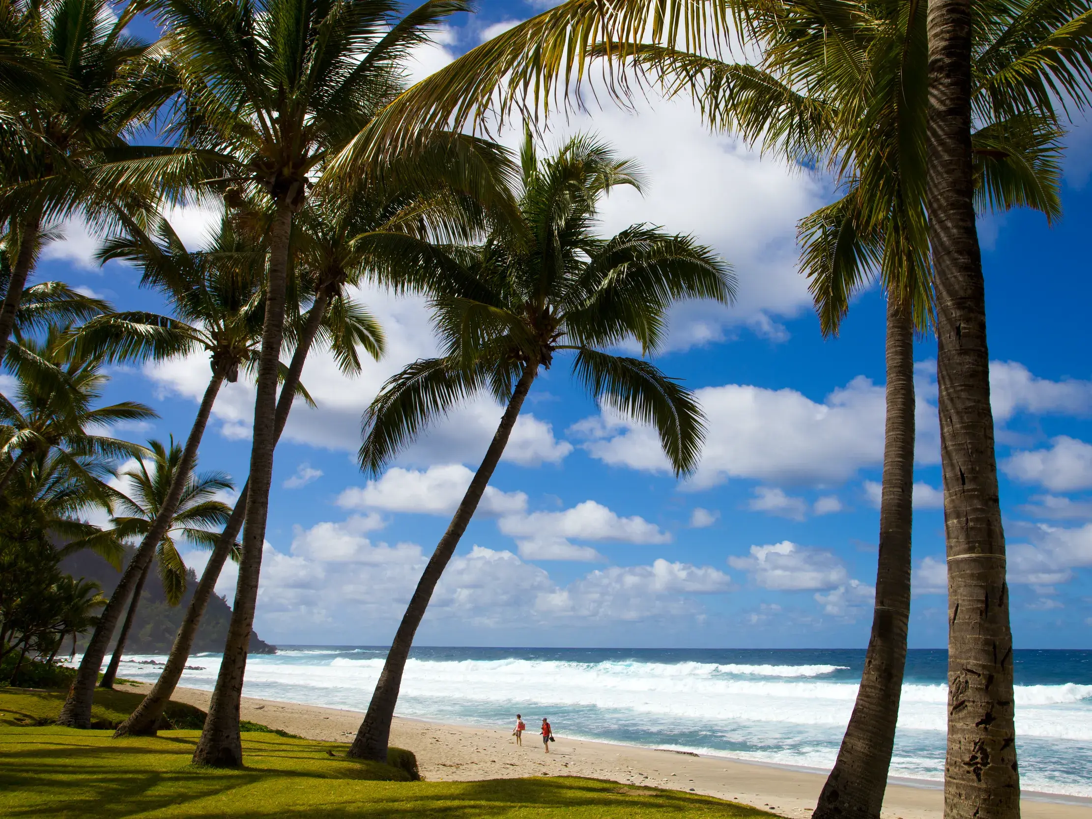 Hohe Palmen an einem sonnigen Sandstrand an der Westküste von La Réunion, zwei Personen spazieren am Ufer des Indischen Ozeans.