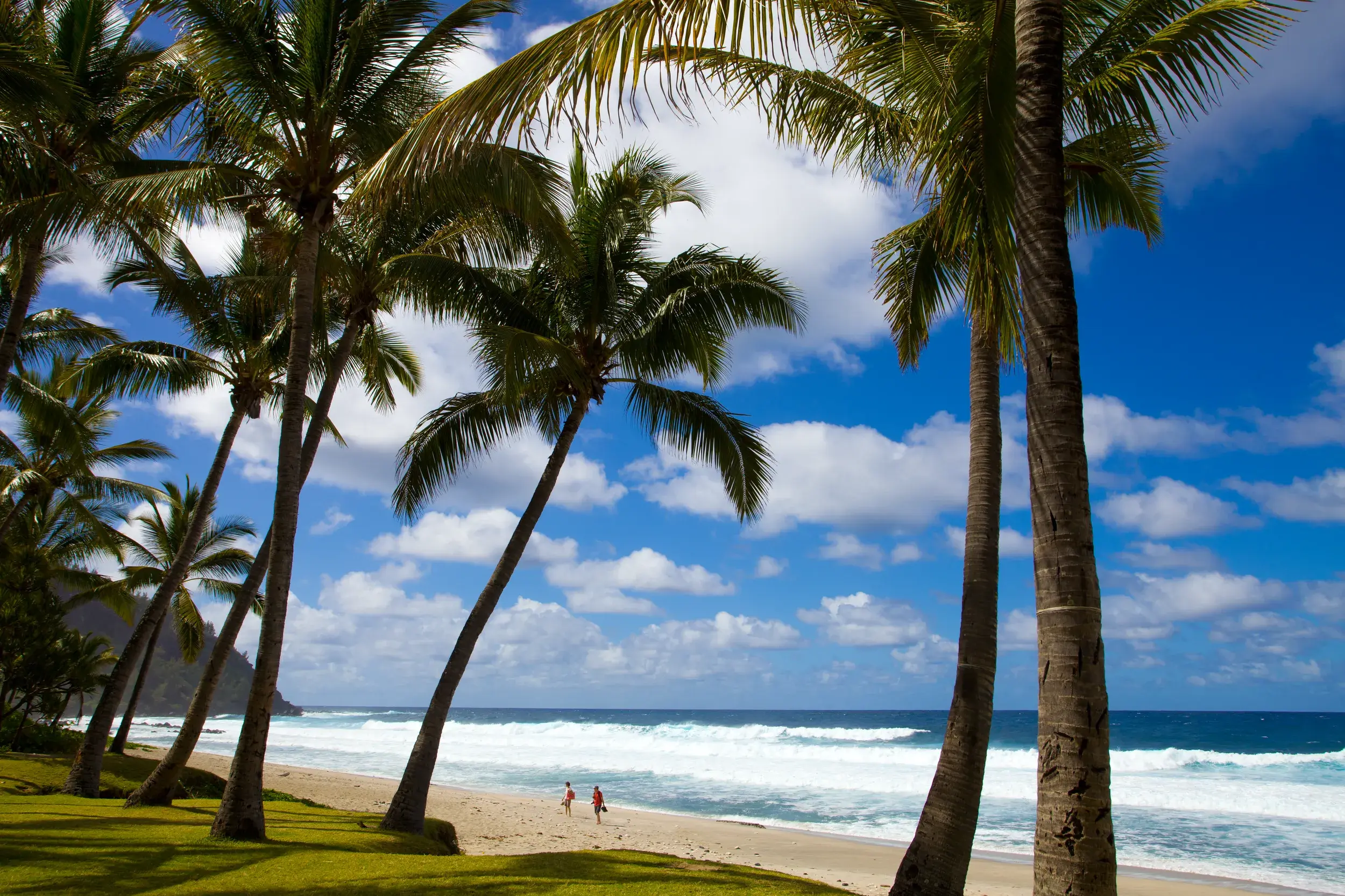 Hohe Palmen an einem sonnigen Sandstrand an der Westküste von La Réunion, zwei Personen spazieren am Ufer des Indischen Ozeans.
