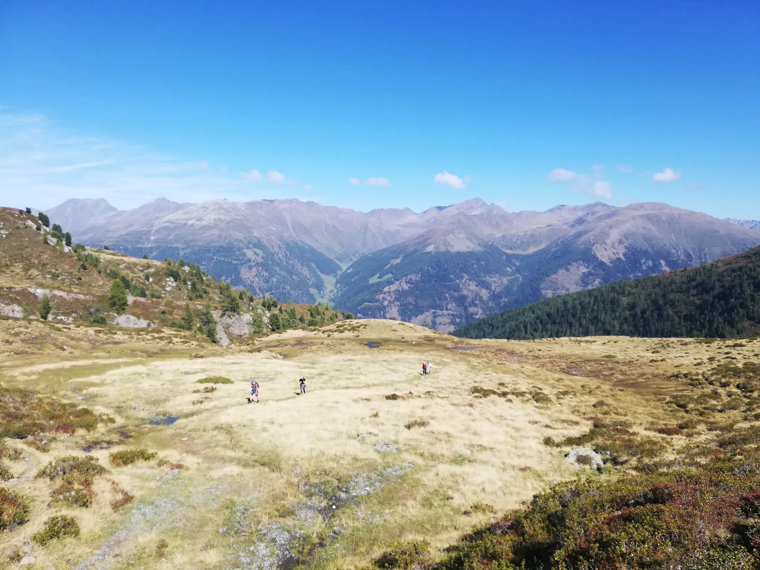 Eine Wandergruppe durchquert eine Hochebene im Villgratental mit Panoramablick auf die Gipfel der Villgrater Berge in Osttirol.
