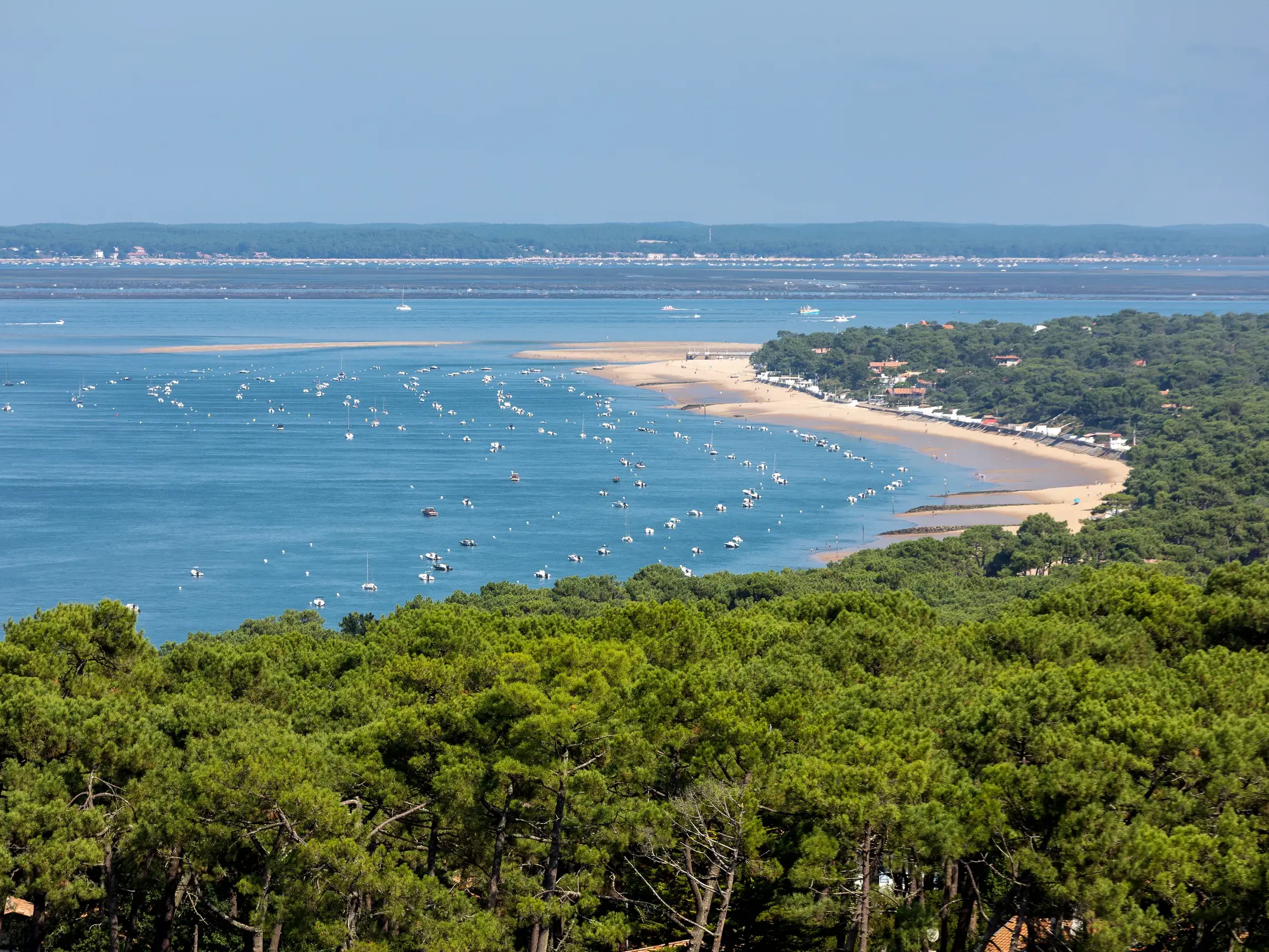 Blick von der Dune du Pilat über Pinienwälder auf die Atlantikküste mit zahlreichen Segelbooten in der Bucht von Arcachon.