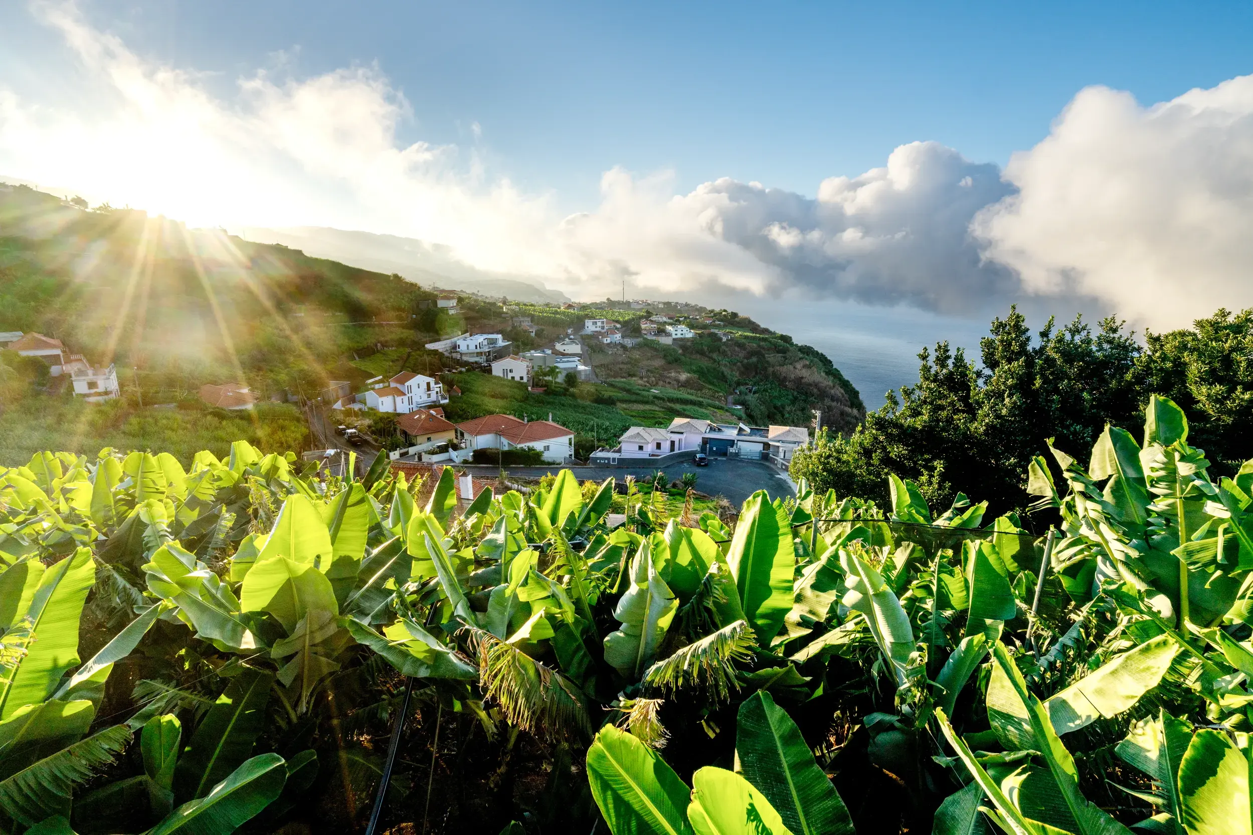 Goldene Sonnenstrahlen über einer Bananenplantage und einem Küstendorf an den grünen Steilhängen der Insel Madeira.