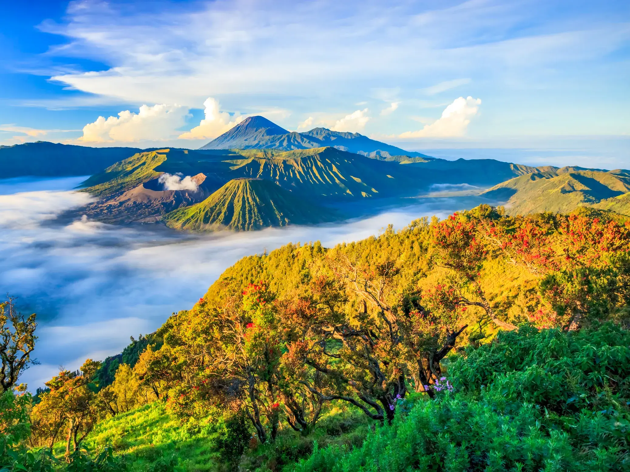 Spektakulärer Blick bei Sonnenaufgang auf die Vulkanlandschaft des Gunung Bromo in Java, die aus einem dichten Wolkenmeer ragt.