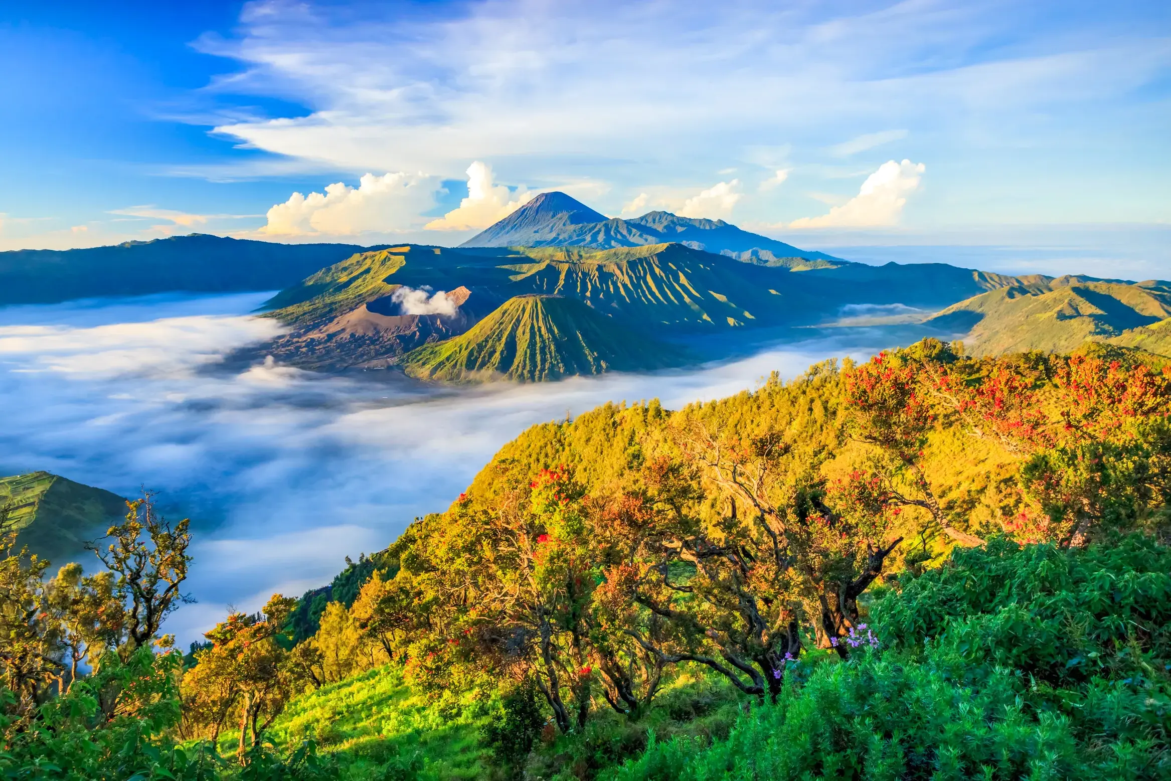 Spektakulärer Blick bei Sonnenaufgang auf die Vulkanlandschaft des Gunung Bromo in Java, die aus einem dichten Wolkenmeer ragt.
