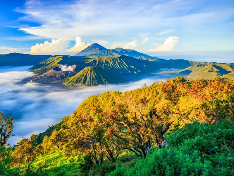 Spektakulärer Blick bei Sonnenaufgang auf die Vulkanlandschaft des Gunung Bromo in Java, die aus einem dichten Wolkenmeer ragt.