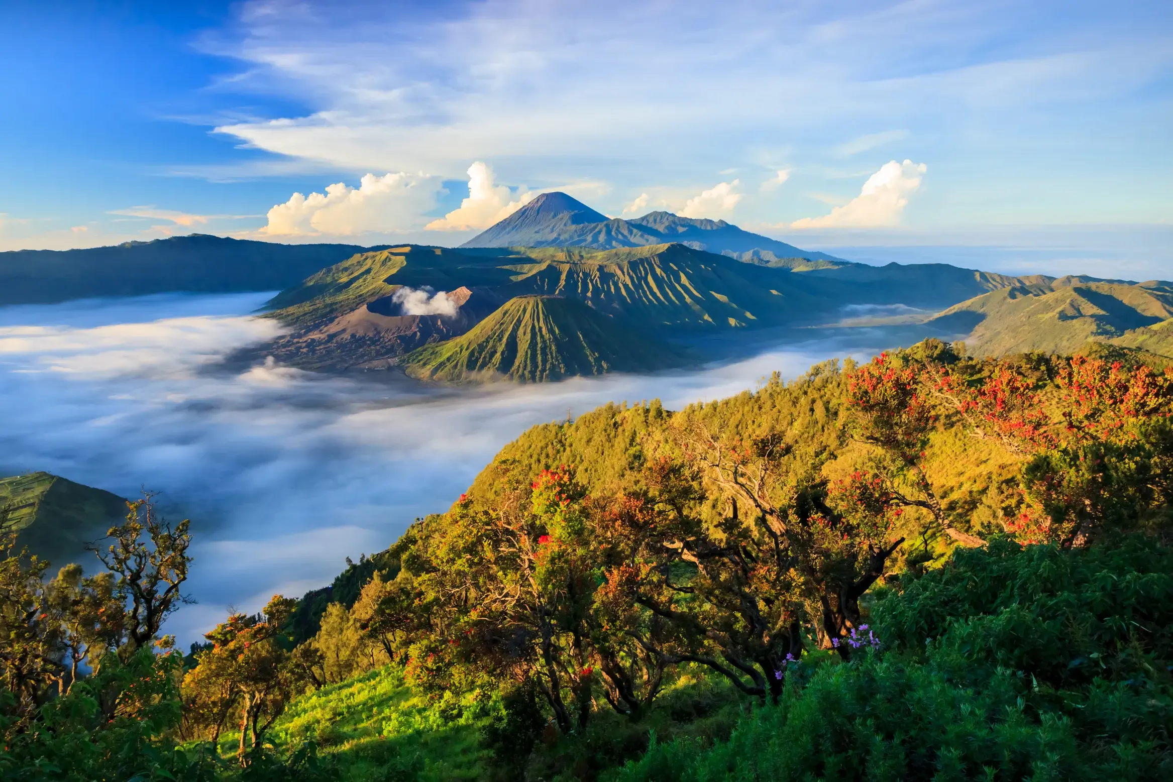 Atemberaubender Sonnenaufgang über dem rauchenden Vulkan Bromo und dem Semeru in Java, umgeben von einem dichten Nebelmeer.