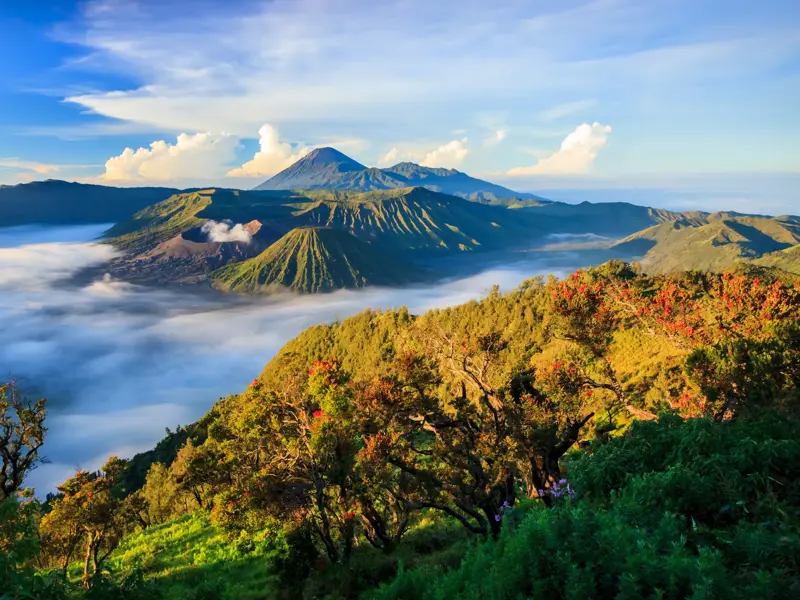 Atemberaubender Sonnenaufgang über dem rauchenden Vulkan Bromo und dem Semeru in Java, umgeben von einem dichten Nebelmeer.