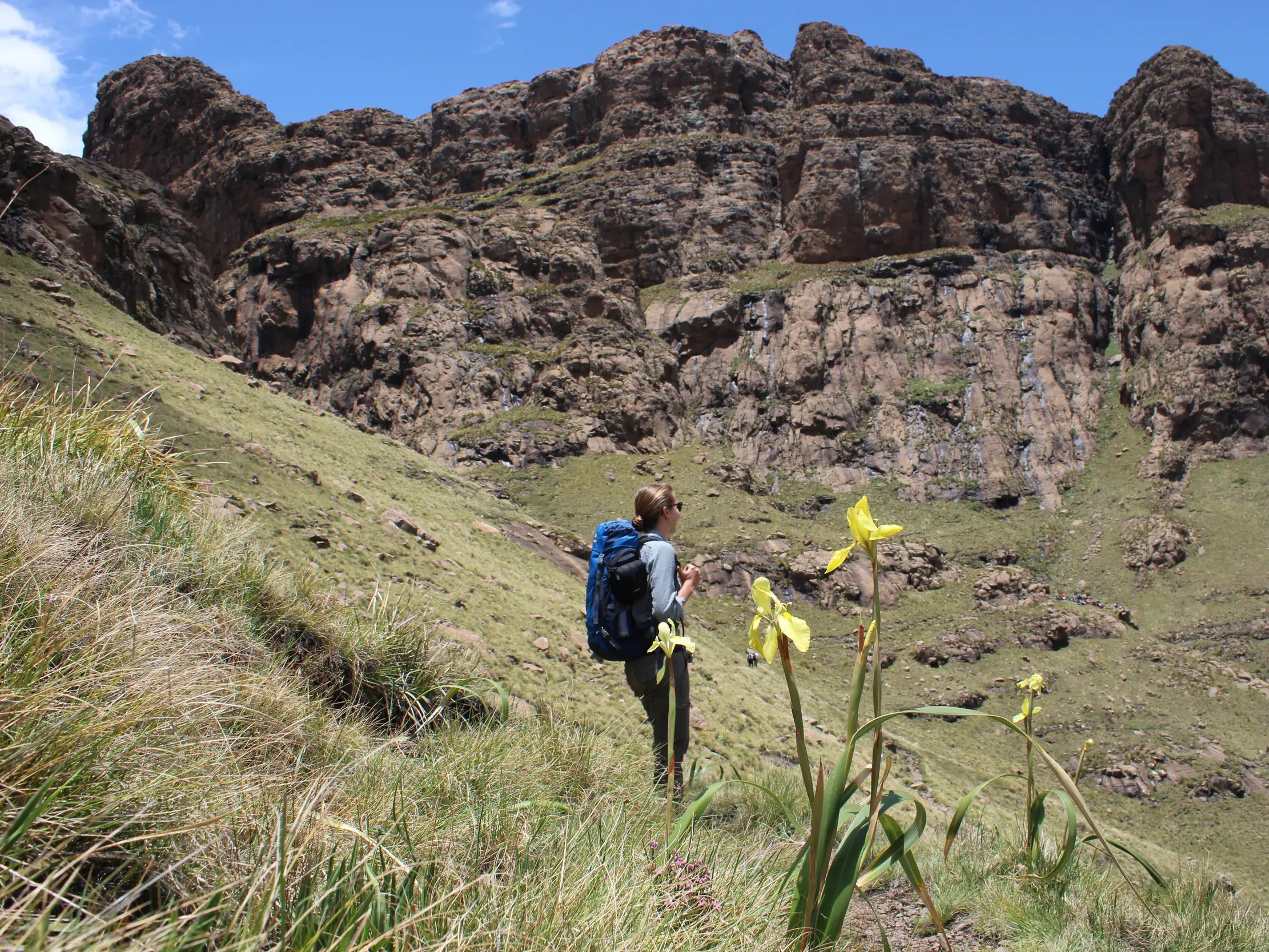 Eine Wanderin mit Rucksack steht an einem grasbewachsenen Hang und blickt auf die imposante Felskulisse der Drakensberge.