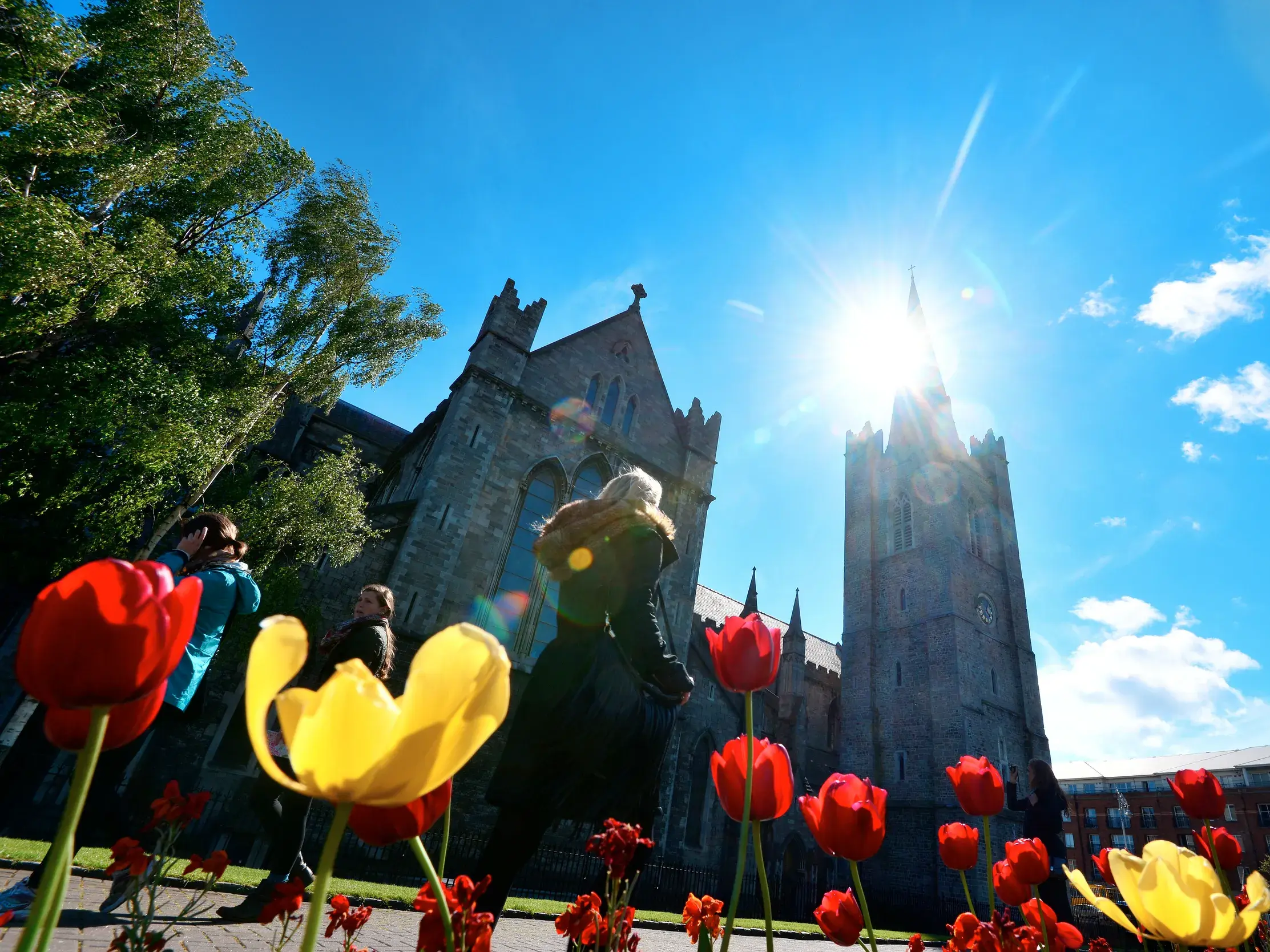 Rote und gelbe Tulpen blühen aus der Froschperspektive vor einem gotischen Monument in Dublin bei strahlendem Sonnenschein.