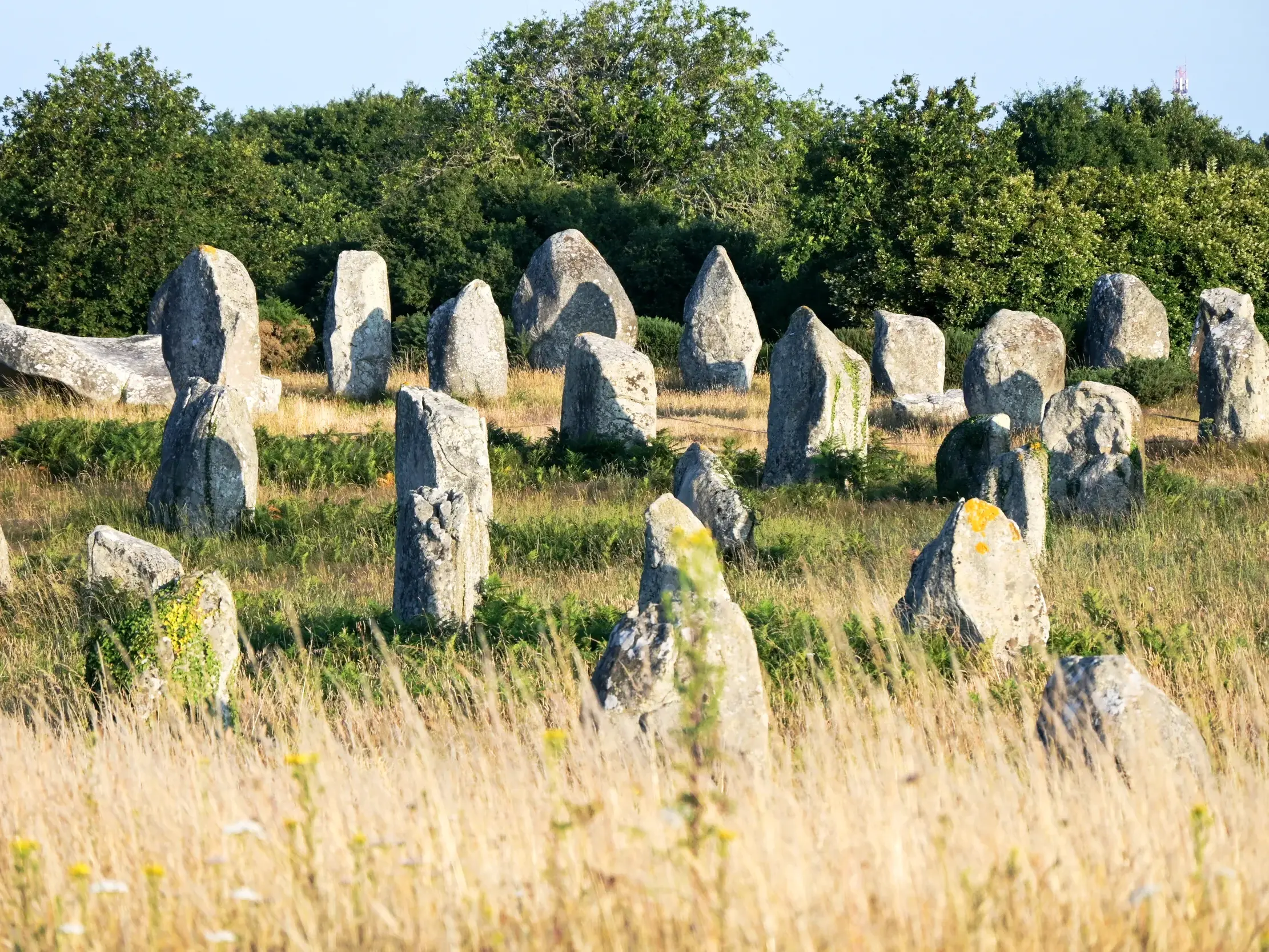 Die rätselhaften Menhire von Carnac stehen bei Sonnenschein in langen Reihen auf einer Wiese in der Bretagne.