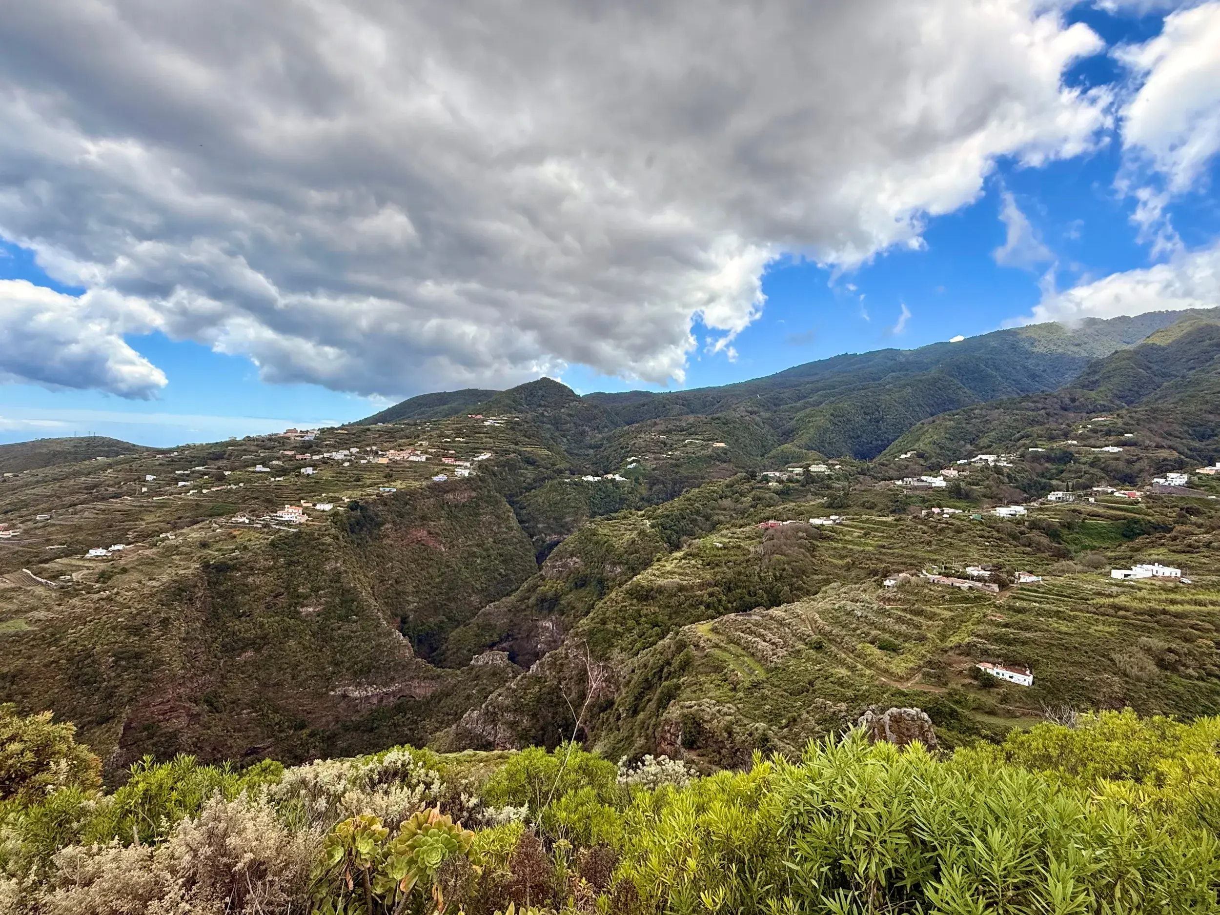 Panoramablick beim Wandern über die grünen, terrassierten Schluchten, die Barrancos, im Norden von La Palma mit vereinzelten Häusern.