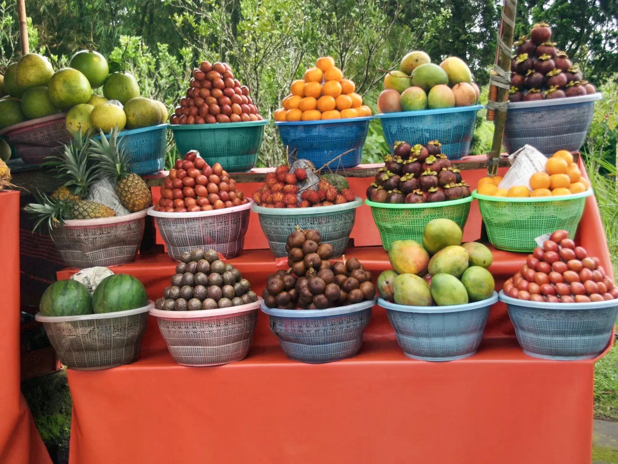 Farbenfroher Marktstand im Hochland von Bali, der exotische Früchte wie Mangostane, Ananas und Orangen in Körben anbietet.