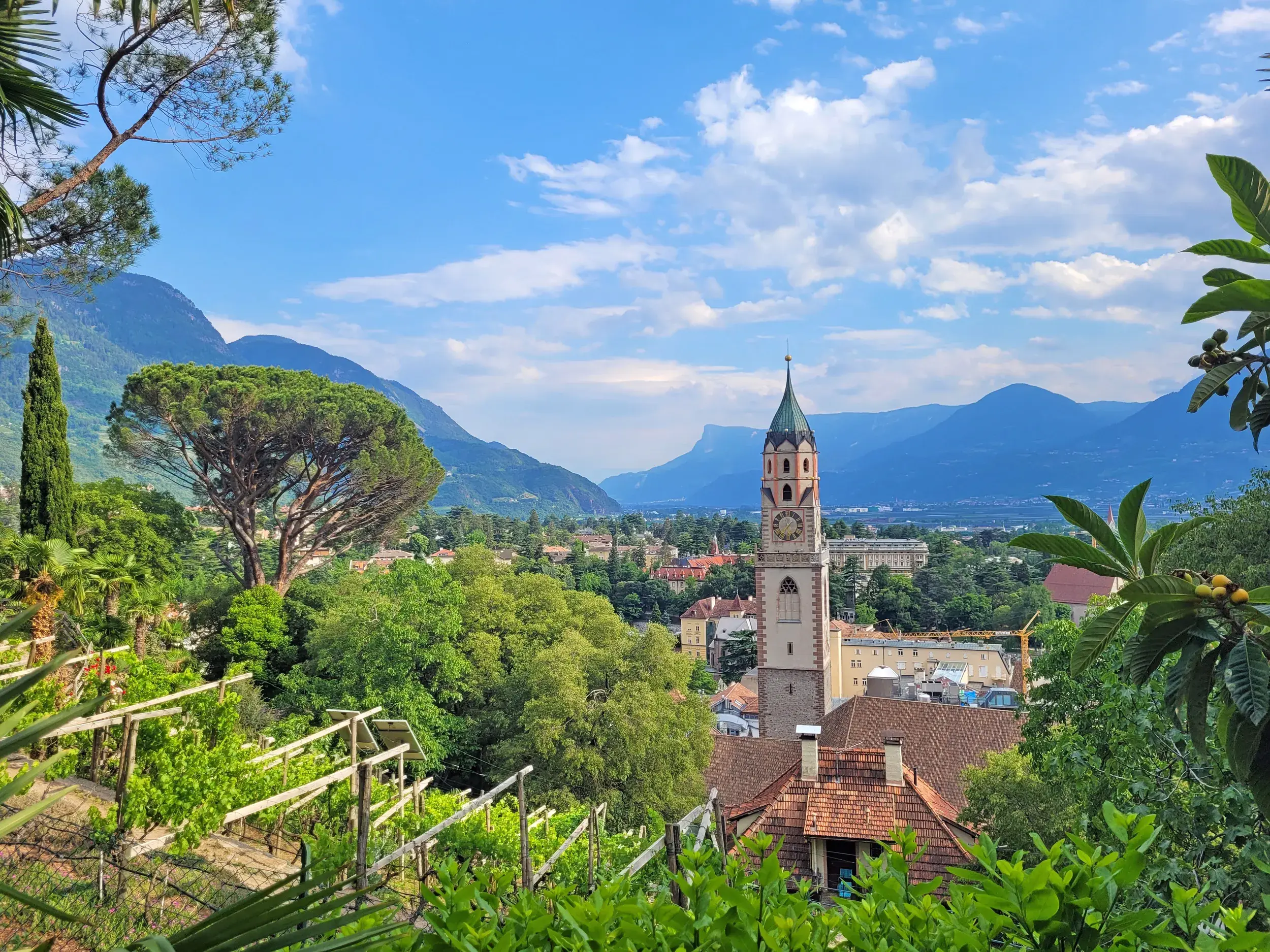 Panoramablick über Weinberge auf die Stadt Meran mit der Pfarrkirche St. Nikolaus vor der weiten Bergkulisse Südtirols.