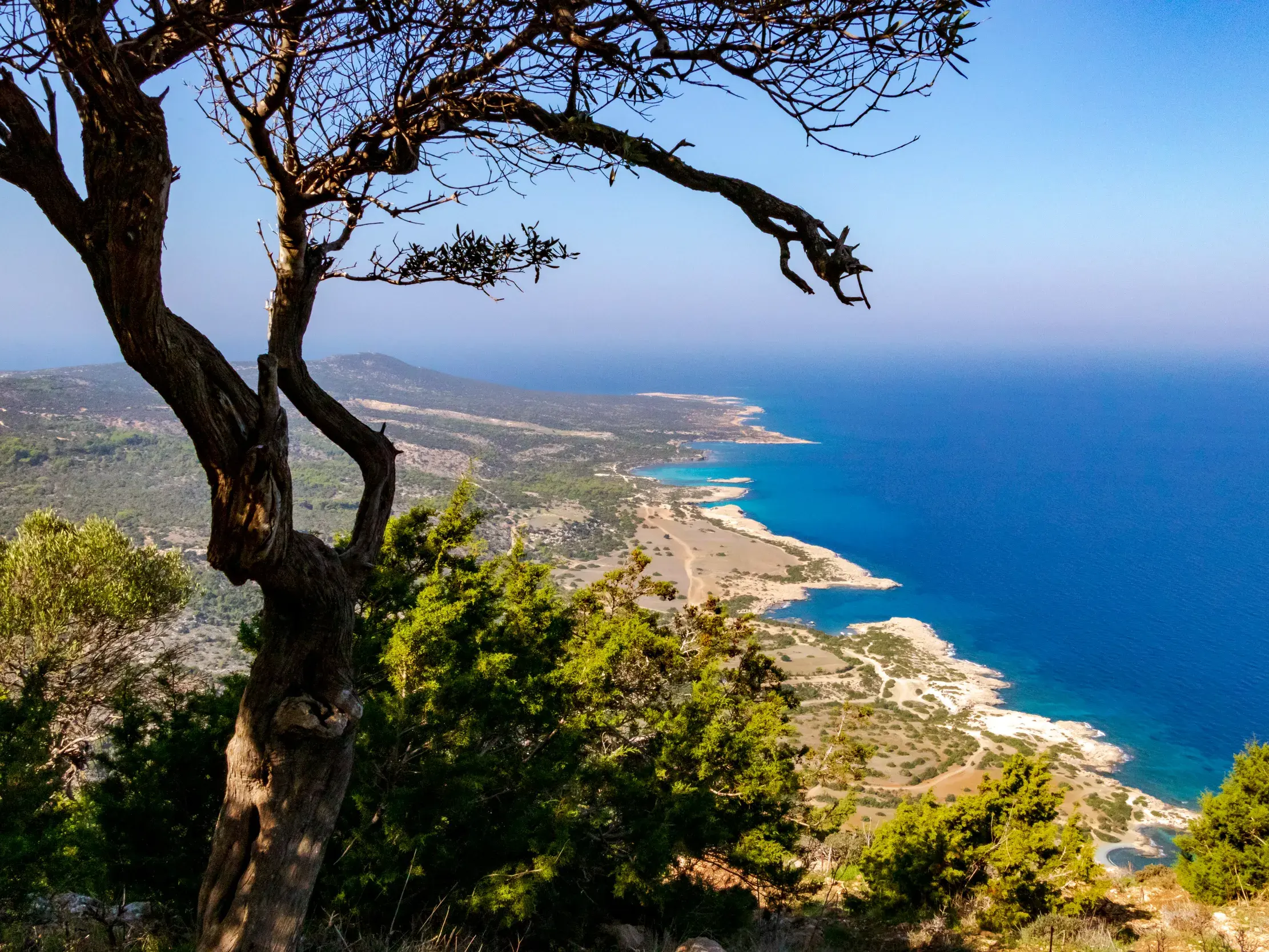 Weitblick von der Akamas-Halbinsel auf die zerklüftete Küste und das türkisblaue Meer bei einer Wanderung auf Zypern.