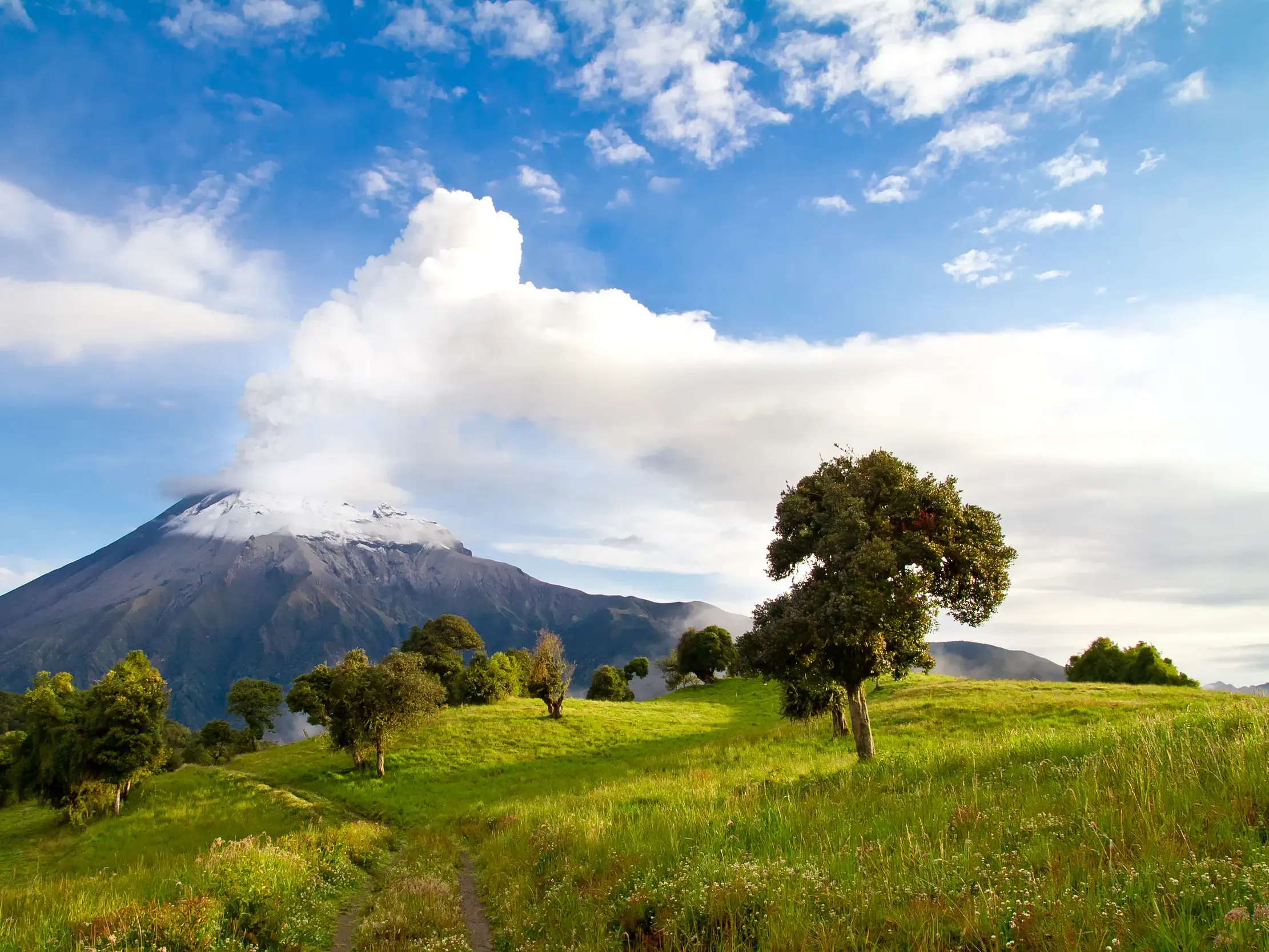 Der aktive Vulkan Tungurahua an der Allee der Vulkane in Ecuador, gesehen von einer grünen, hügeligen Wiese.