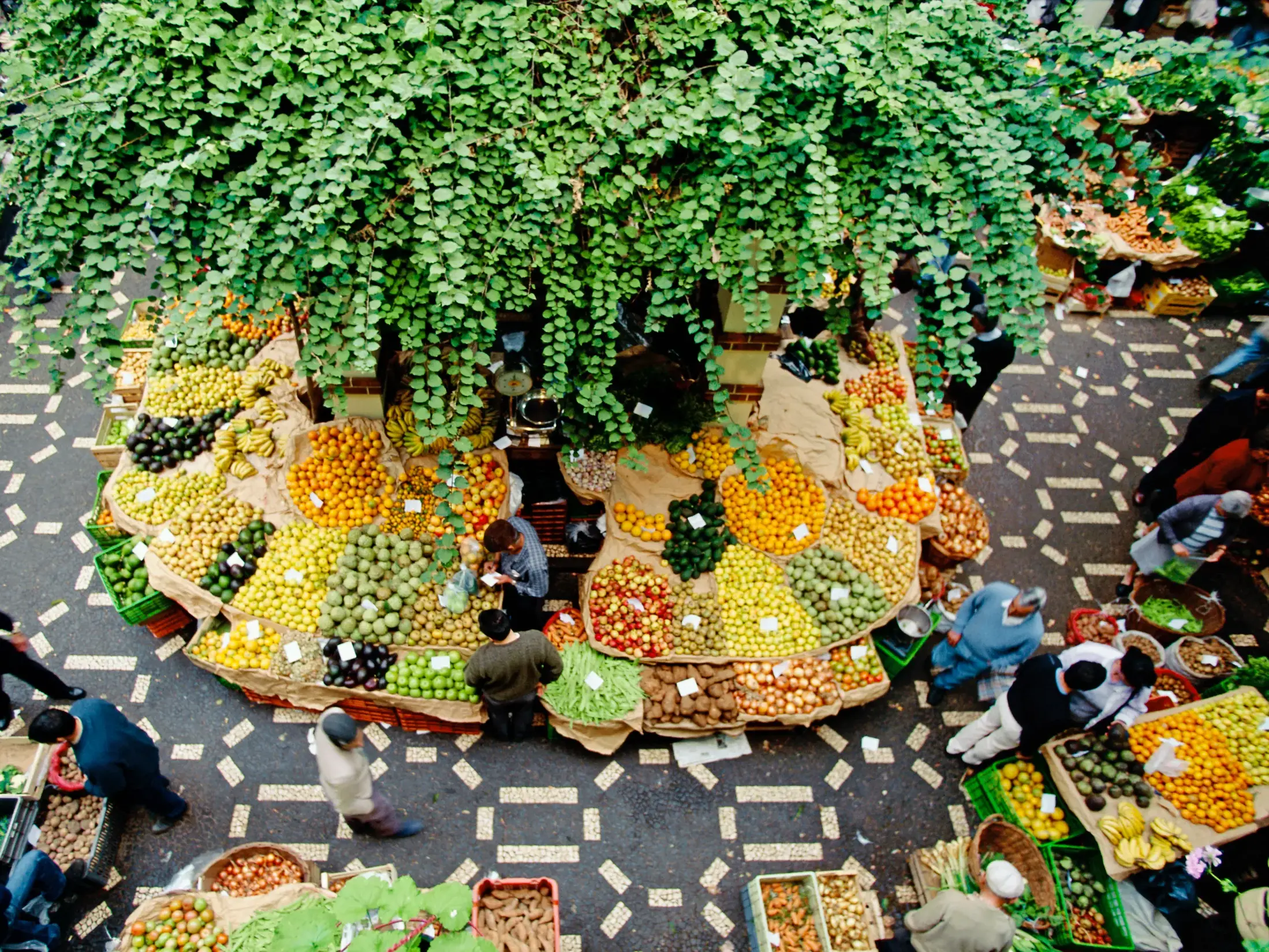 Vogelperspektive auf farbenfrohe Obst- und Gemüsestände in der belebten Markthalle von Funchal auf Madeira.