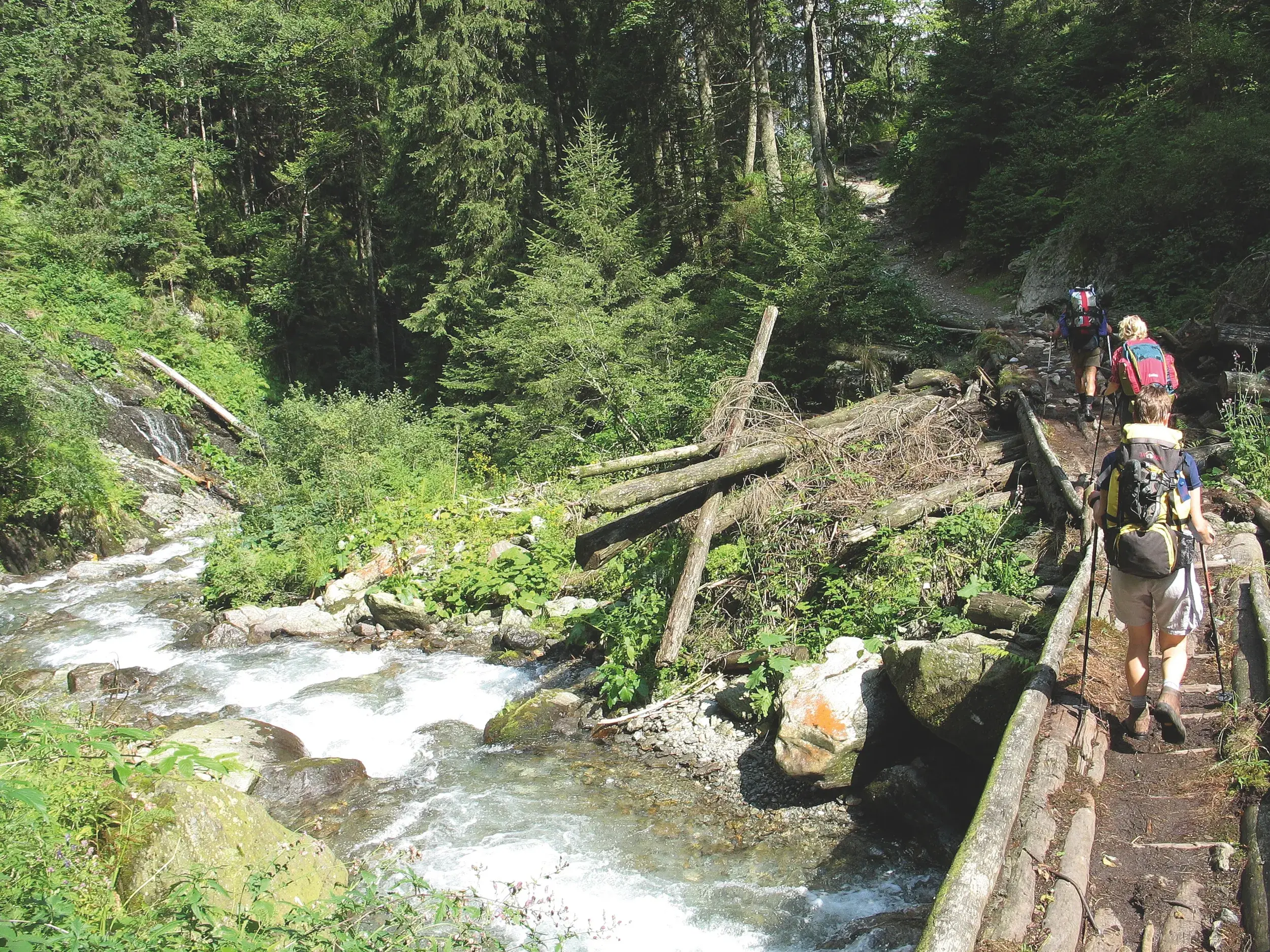 Eine Wandergruppe mit Trekking-Ausrüstung überquert auf einem Holzsteg einen Wildbach im dichten Wald des Fagaras Gebirges.