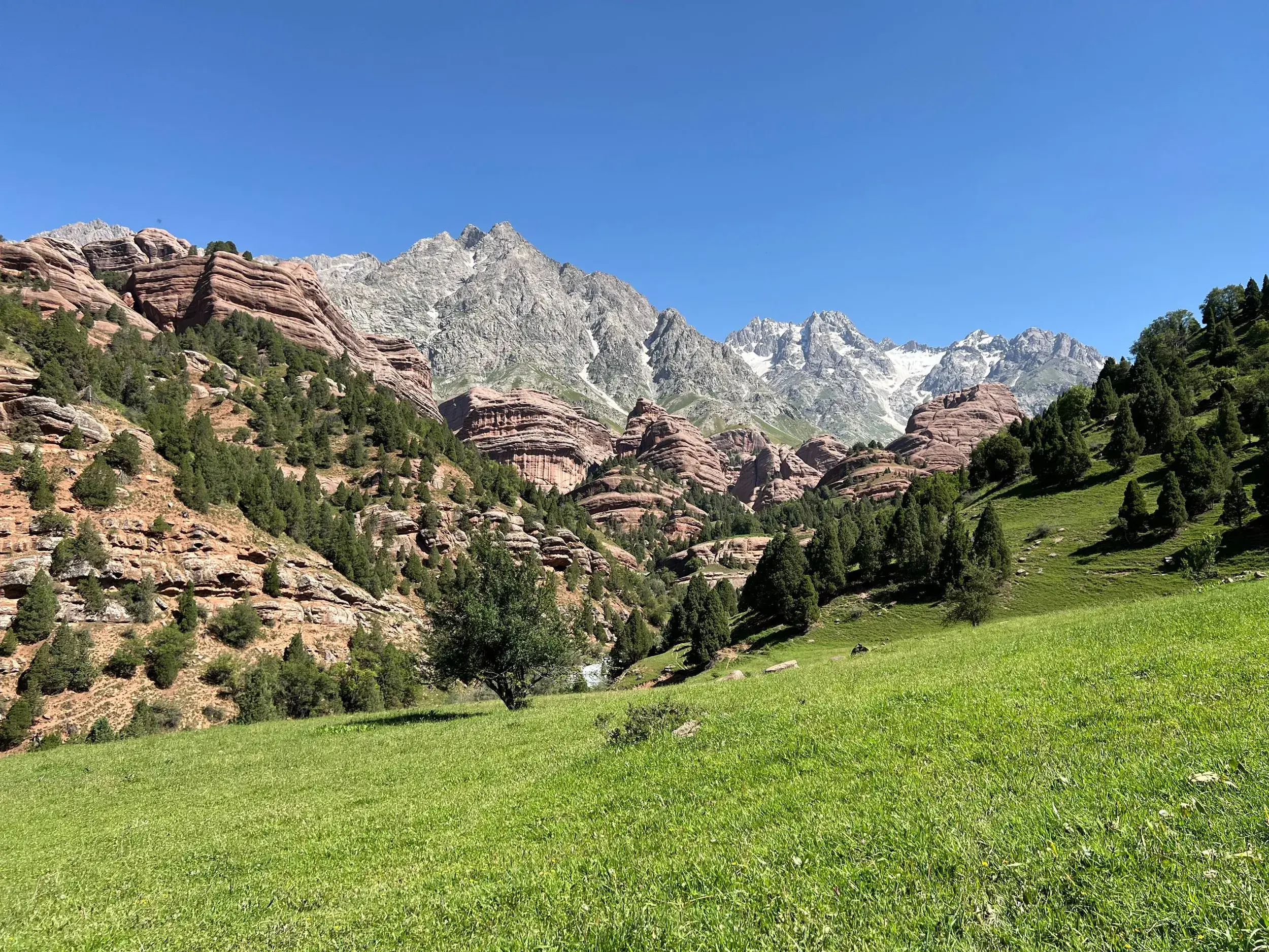 Grüne Wiesen und bizarre rote Felsen im Shirkent-Nationalpark vor den schneebedeckten Gipfeln des Hissar-Gebirges in Tadschikistan.