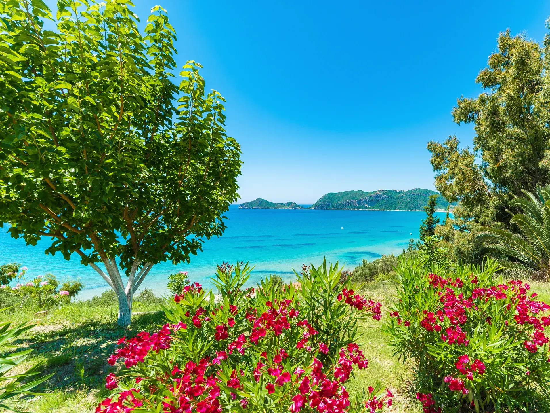 Die üppige, grüne Vegetation Korfus mit roten Blüten im Vordergrund, dahinter eine malerische Bucht mit türkisfarbenem Meer.