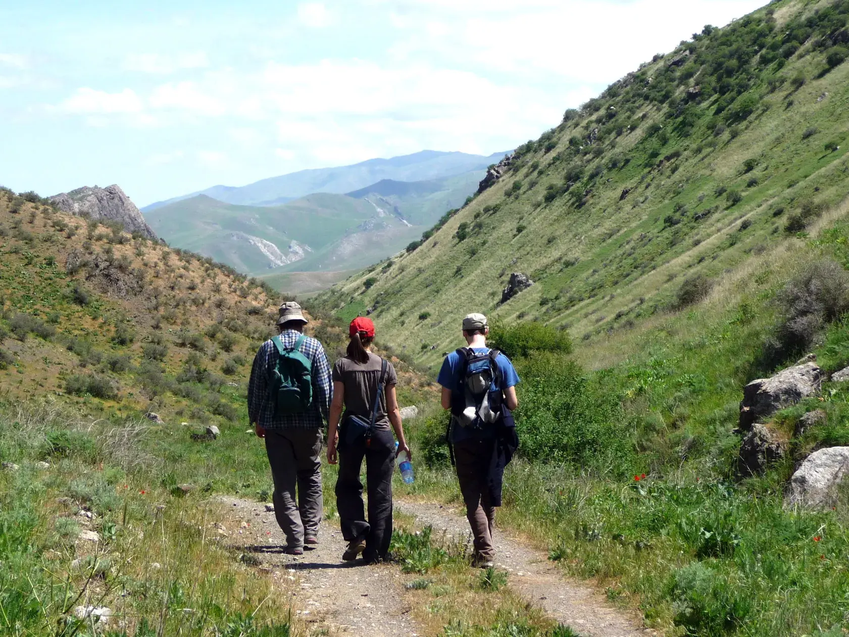 Drei Wanderer einer Reisegruppe auf einem Trekking-Pfad durch ein grünes Tal im Nuratau-Gebirge in Usbekistan.