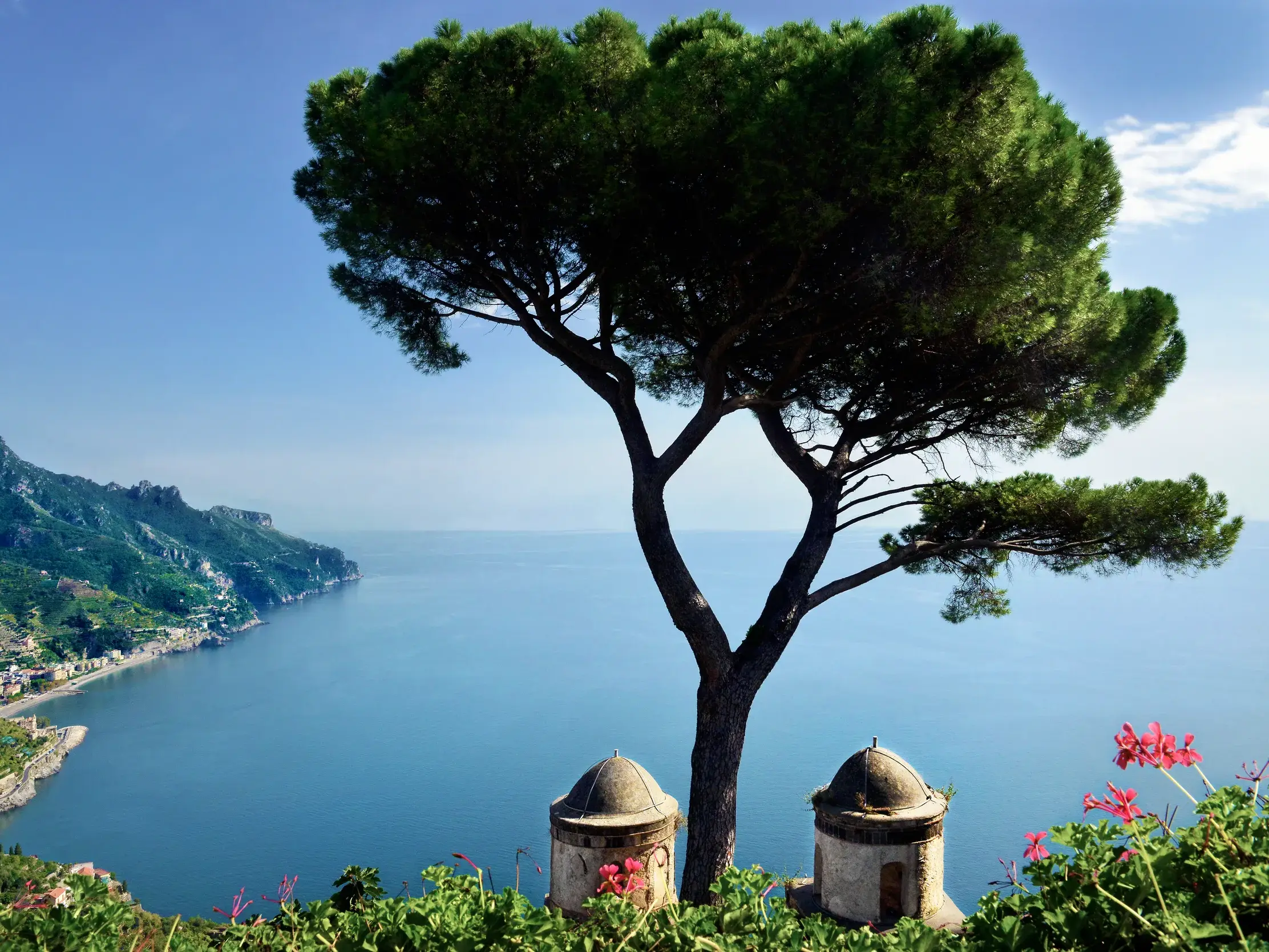 Markante Pinie in den Gärten der Villa Rufolo in Ravello mit Panoramablick auf die tiefblaue Amalfiküste.