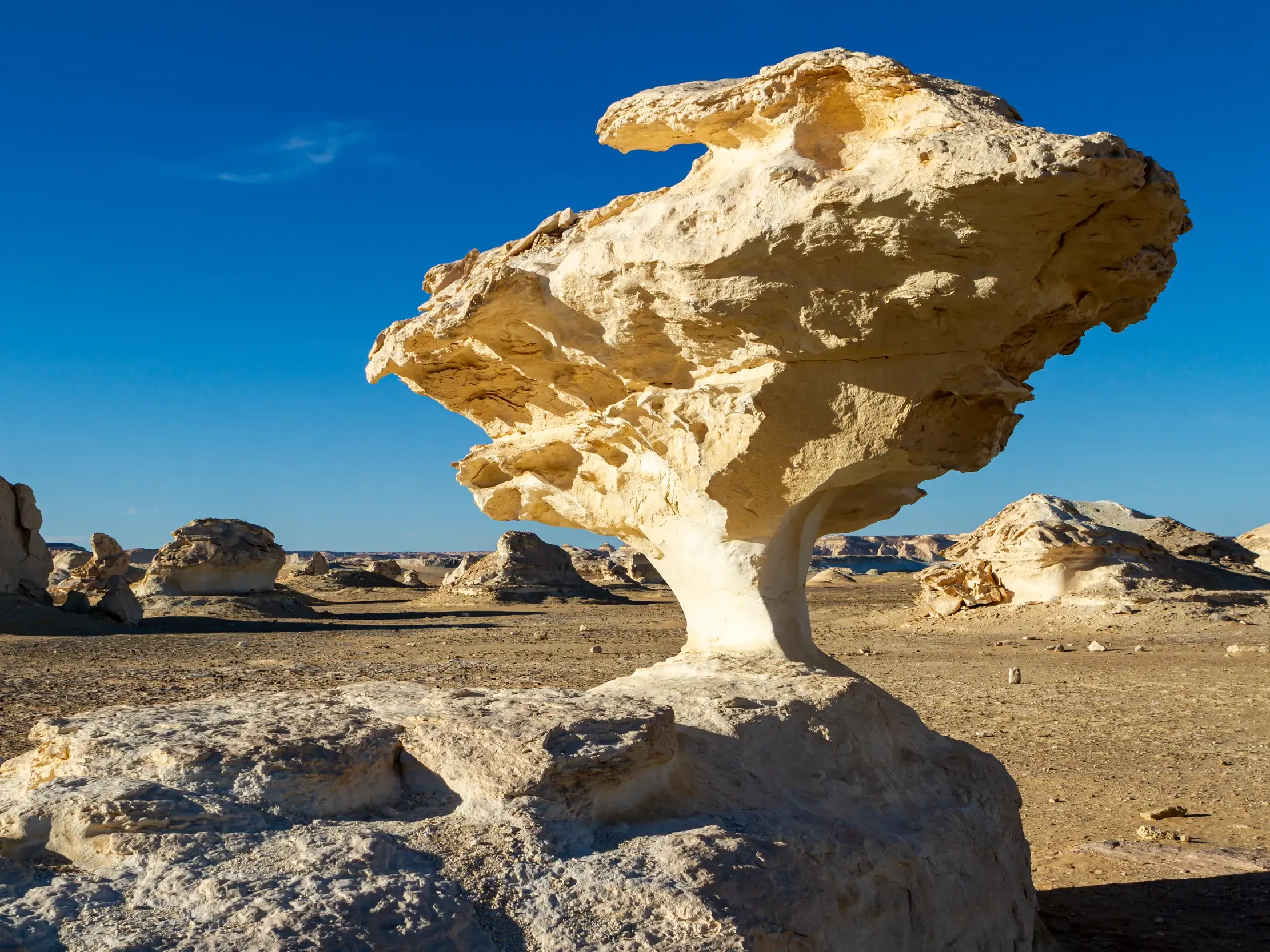Bizarre, weiße Kalksteinformation auf einer Wanderreise durch die weite, sonnige Landschaft der Weißen Wüste in Ägypten.