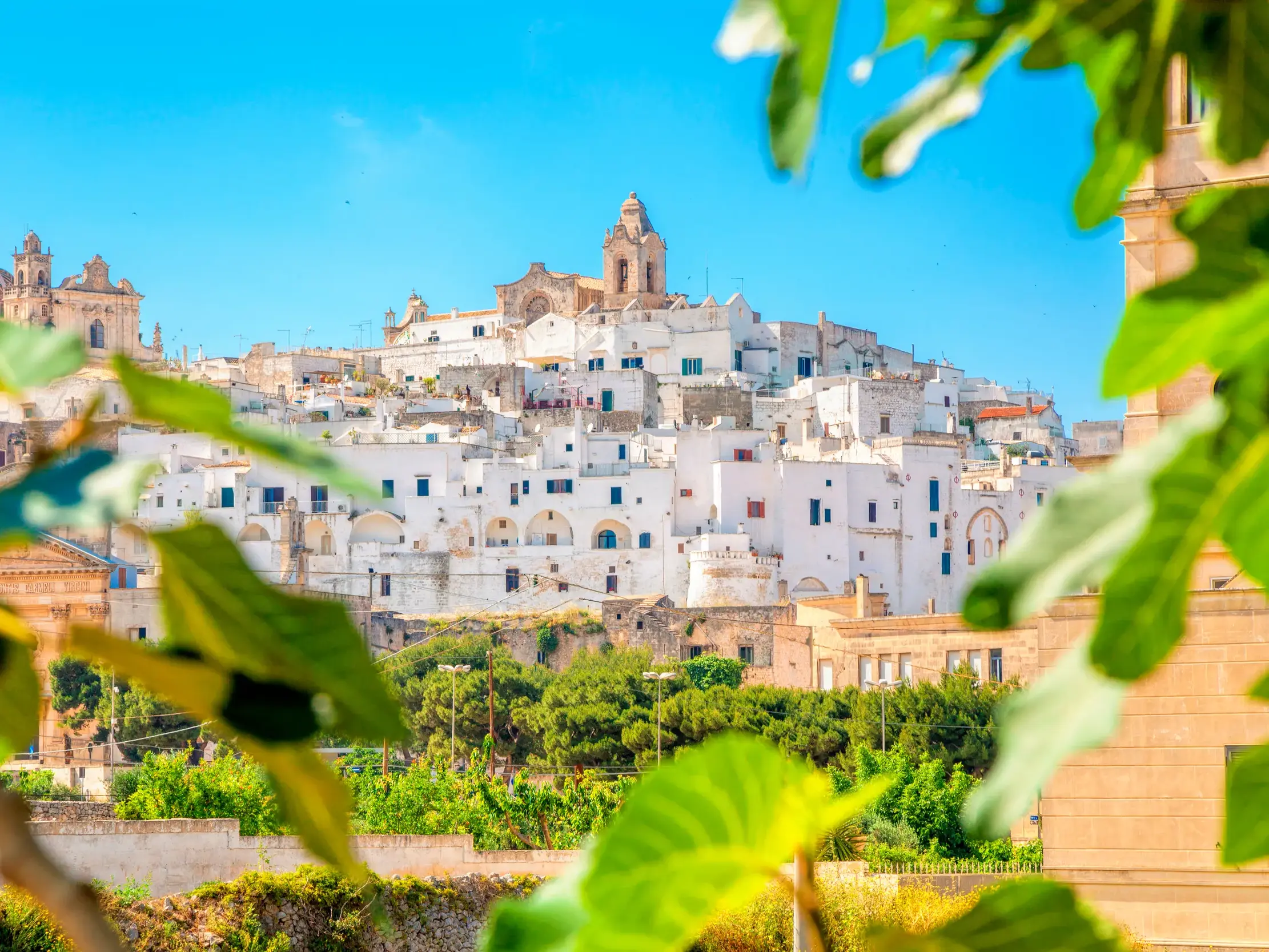 Blick durch grüne Blätter auf die malerische weiße Altstadt von Ostuni in Apulien bei strahlend blauem Himmel.
