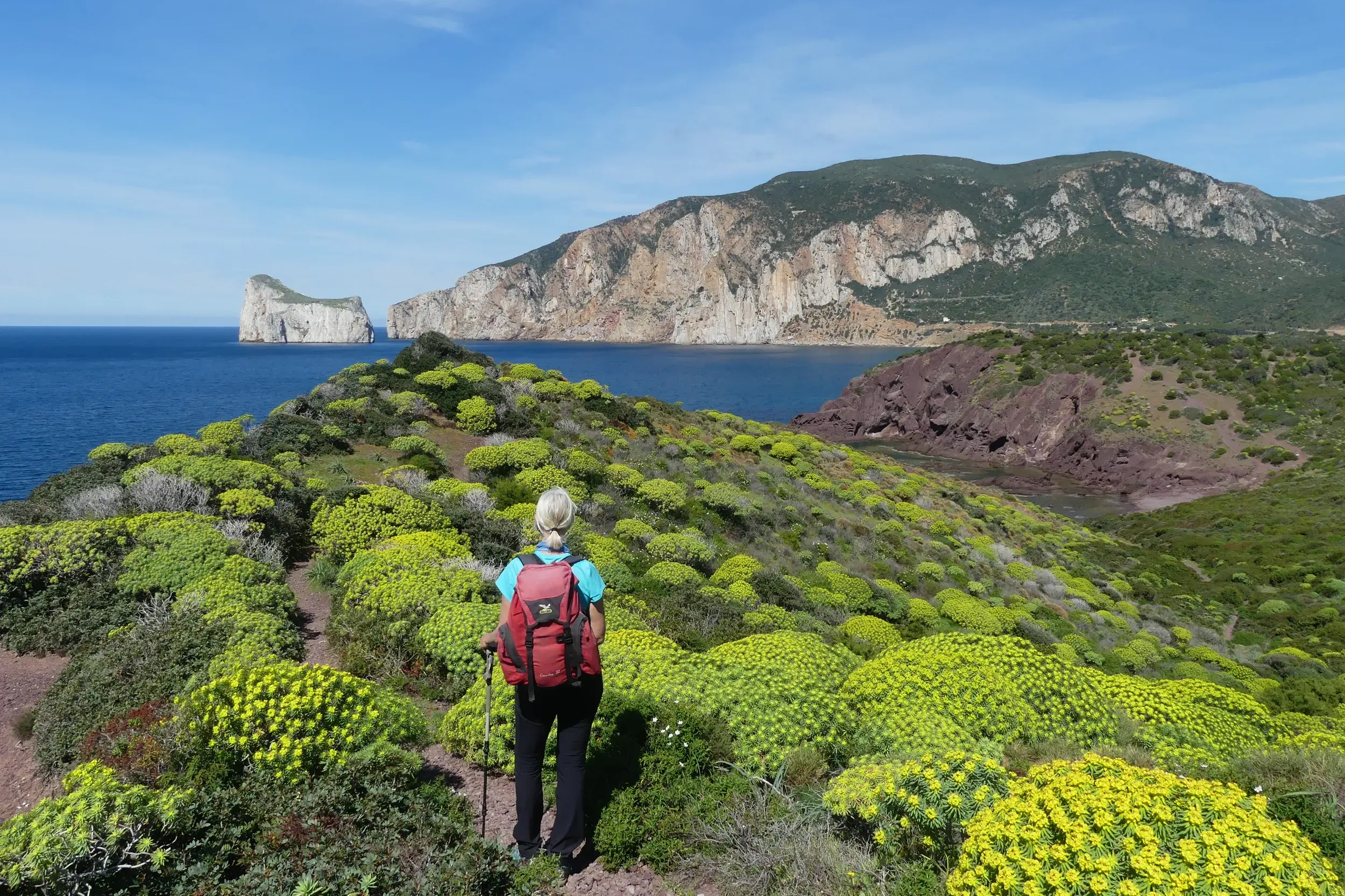 Wanderin mit Rucksack auf einem Pfad durch grüne Macchia an der Küste von Masua mit Blick auf den Felsen Pan di Zucchero.