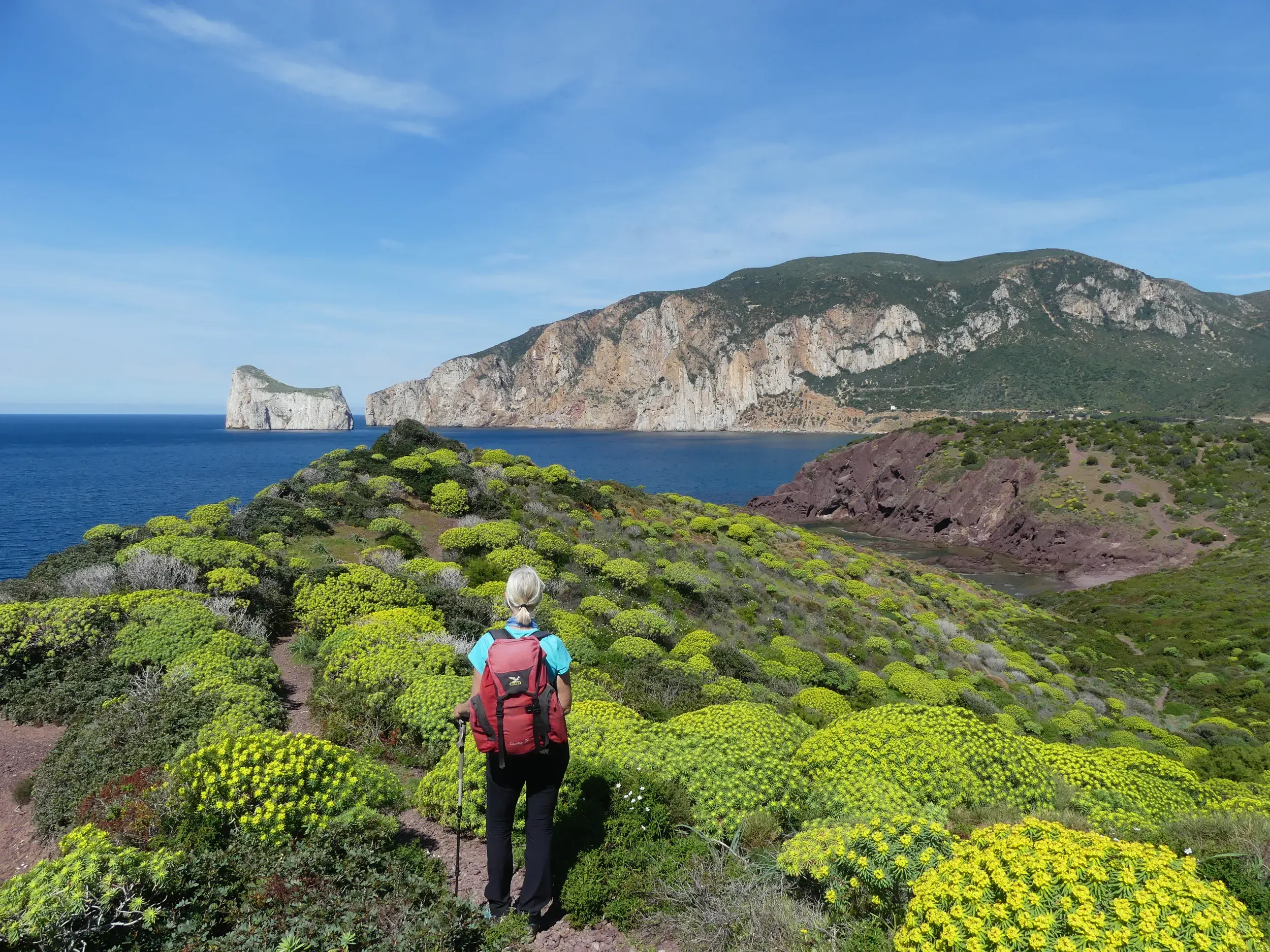 Wanderin mit Rucksack auf einem Pfad durch grüne Macchia an der Küste von Masua mit Blick auf den Felsen Pan di Zucchero.
