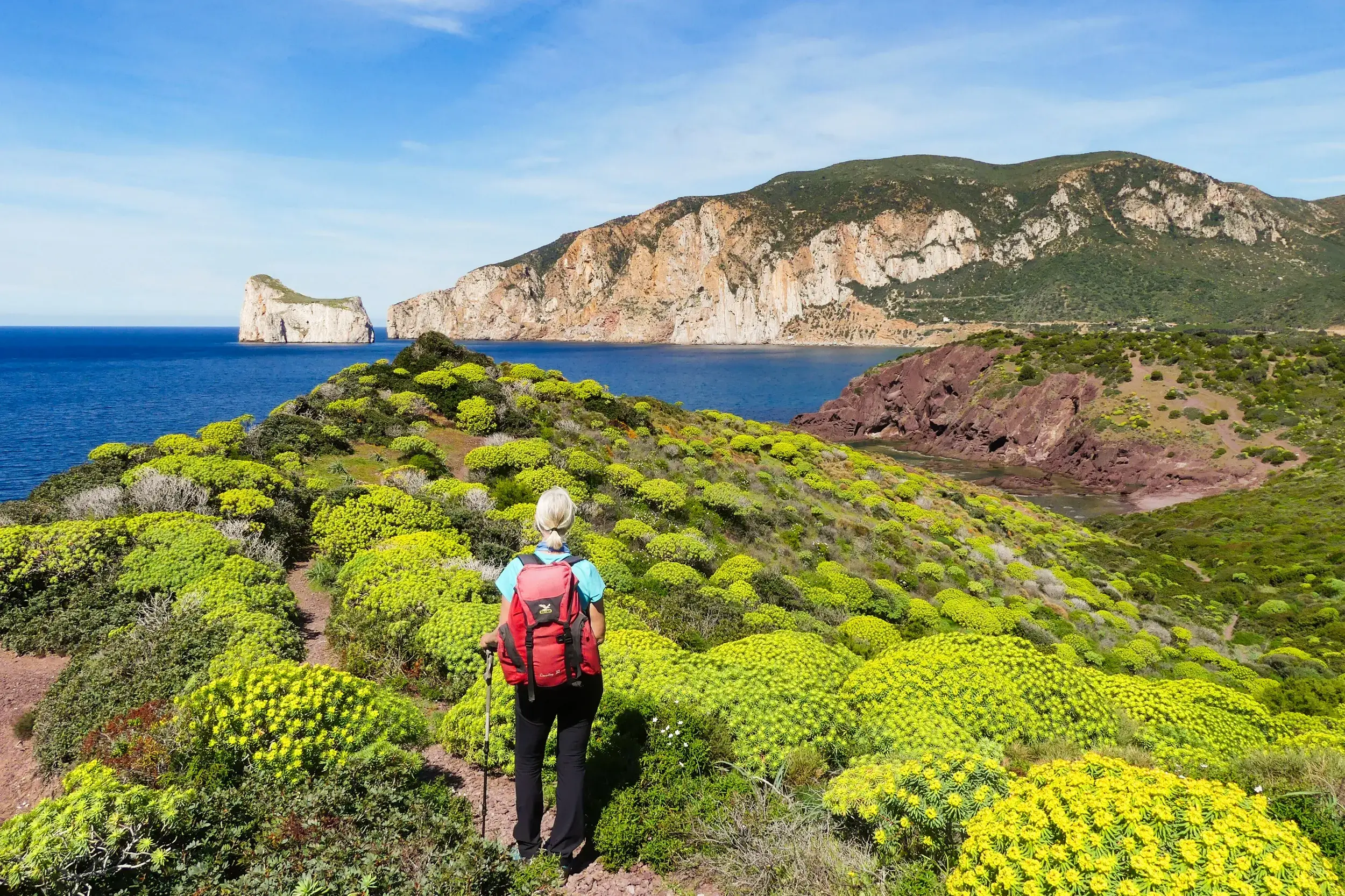 Wanderin auf einem Küstenpfad durch blühende Macchia bei Masua mit Blick auf die Felsinsel Pan di Zucchero auf Sardinien.