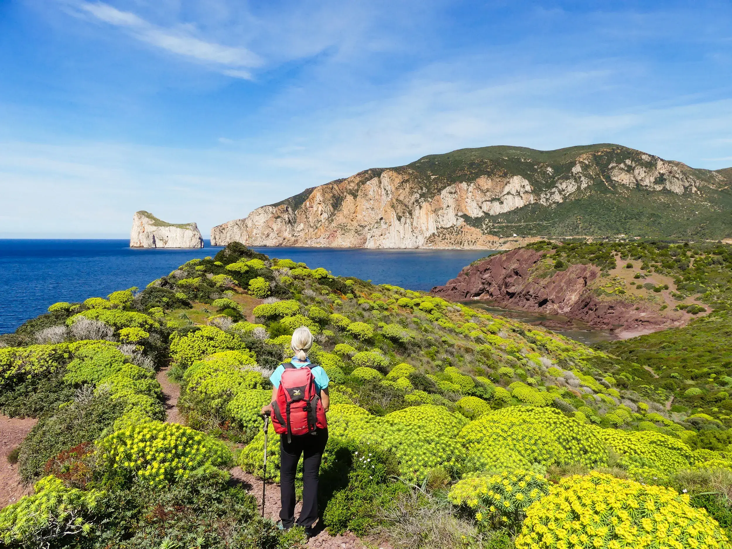 Wanderin auf einem Küstenpfad durch blühende Macchia bei Masua mit Blick auf die Felsinsel Pan di Zucchero auf Sardinien.