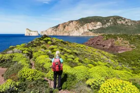 Wanderin auf einem Küstenpfad durch blühende Macchia bei Masua mit Blick auf die Felsinsel Pan di Zucchero auf Sardinien.