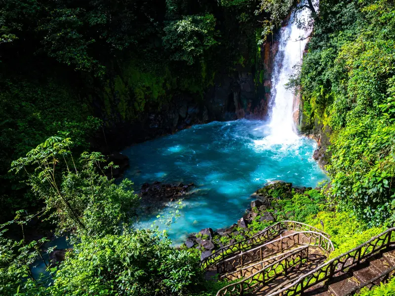 Der Wasserfall Catarata Rio Celeste stürzt in ein leuchtend türkises Becken im dichten Regenwald des Tenorio Nationalparks.