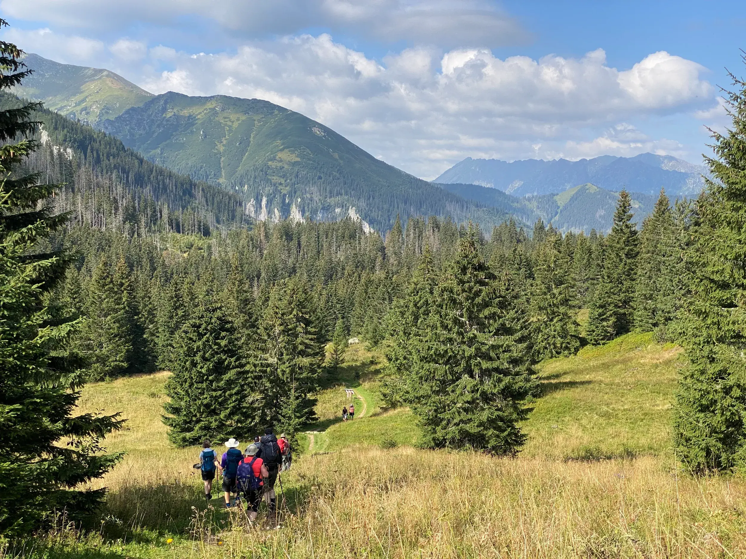 Eine Wandergruppe folgt einem schmalen Pfad durch ein alpines Tal in der Hohen Tatra mit Blick auf bewaldete Berghänge.