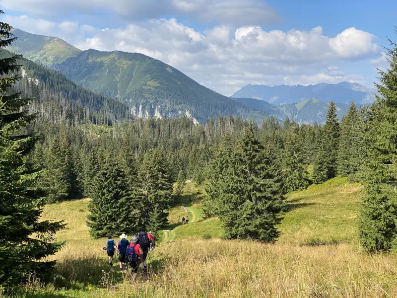 Eine Reisegruppe wandert auf einem schmalen Pfad durch eine Almwiese mit Blick auf die bewaldeten Berggipfel der Hohen Tatra.