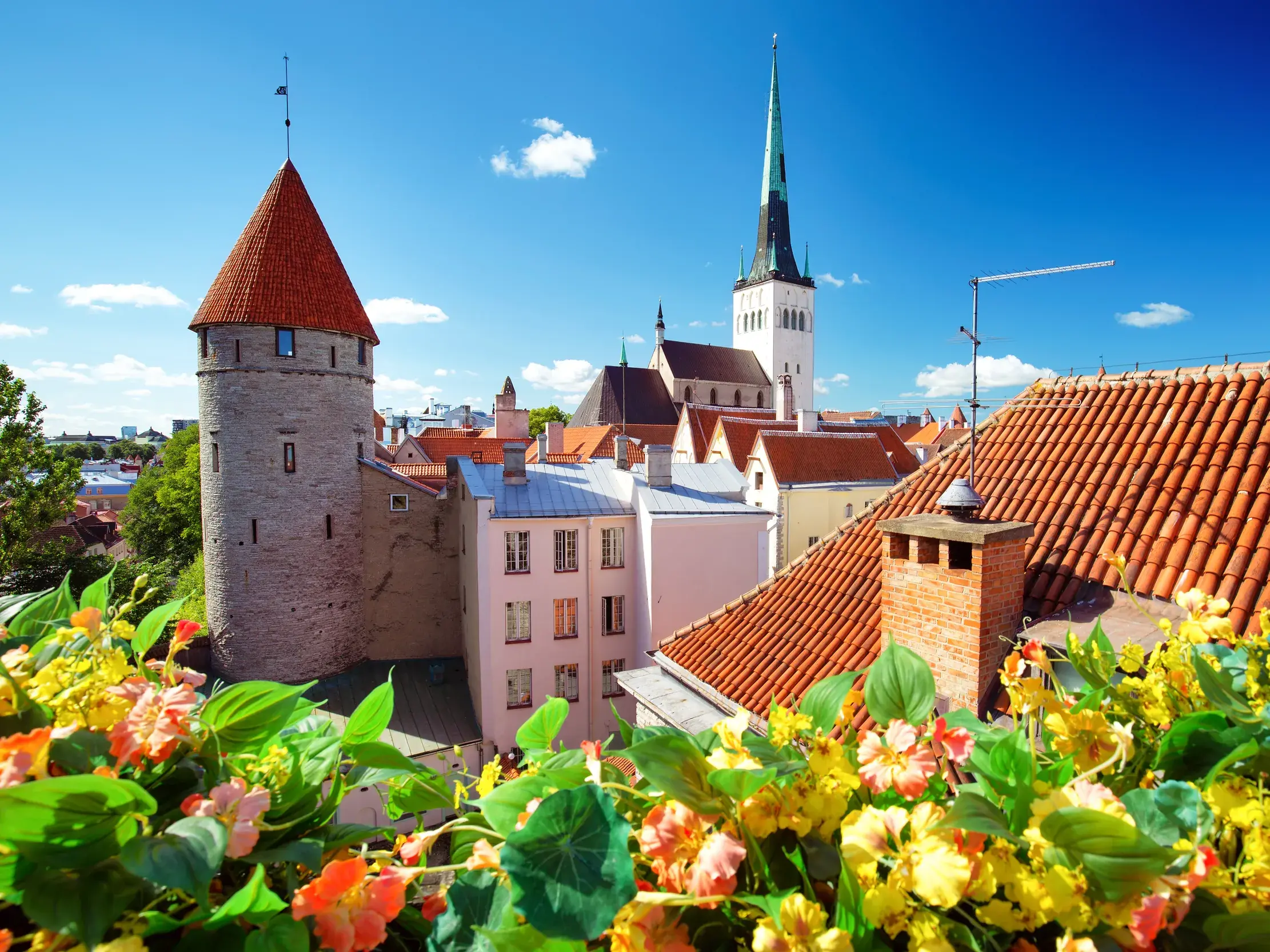 Blick vom Domberg auf die mittelalterliche Altstadt von Tallinn mit Wehrturm und der Olaikirche unter blauem Himmel.