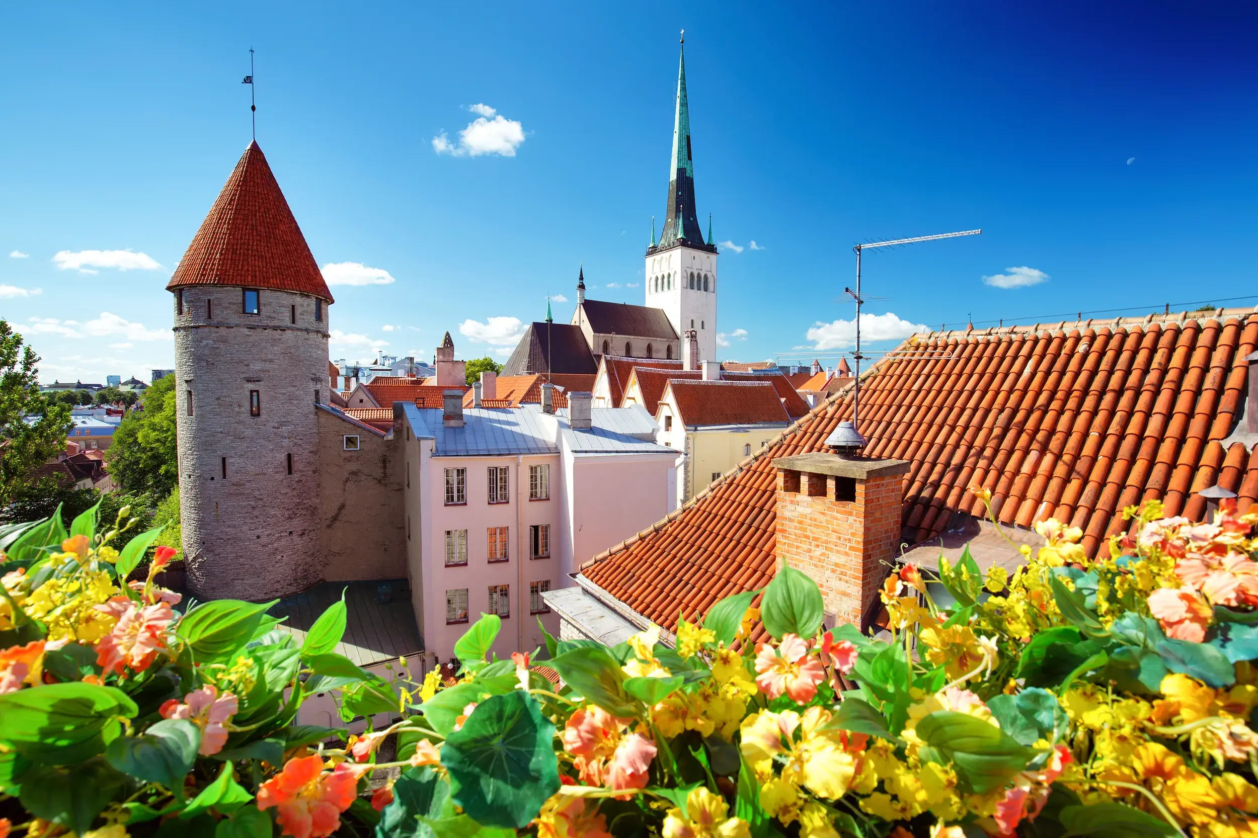 Blick vom Domberg auf die mittelalterliche Altstadt von Tallinn mit Wehrturm und der Olaikirche unter blauem Himmel.