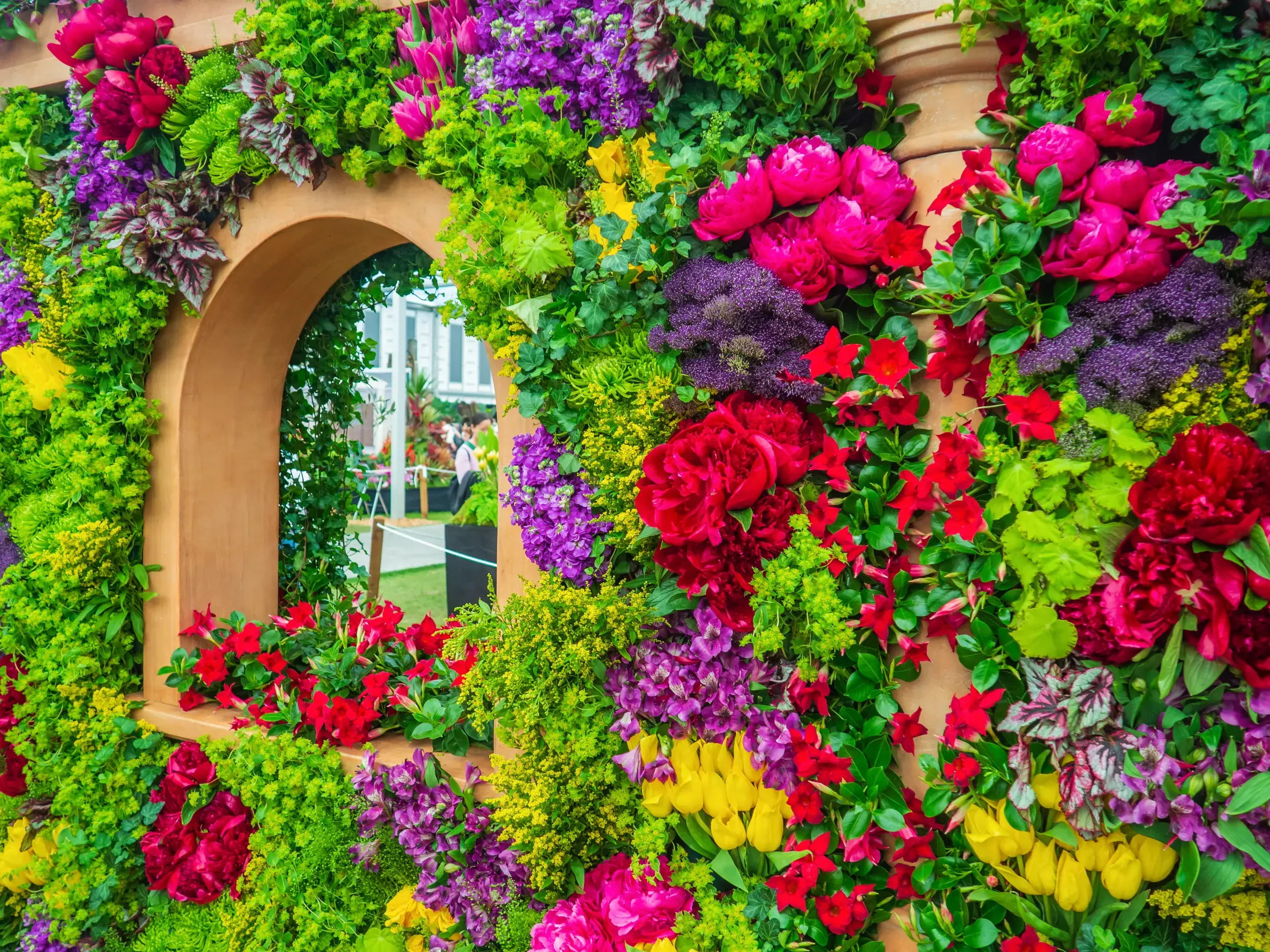 Bunte Blumenwand und Torbogen mit Pfingstrosen auf der Chelsea Flower Show in London
