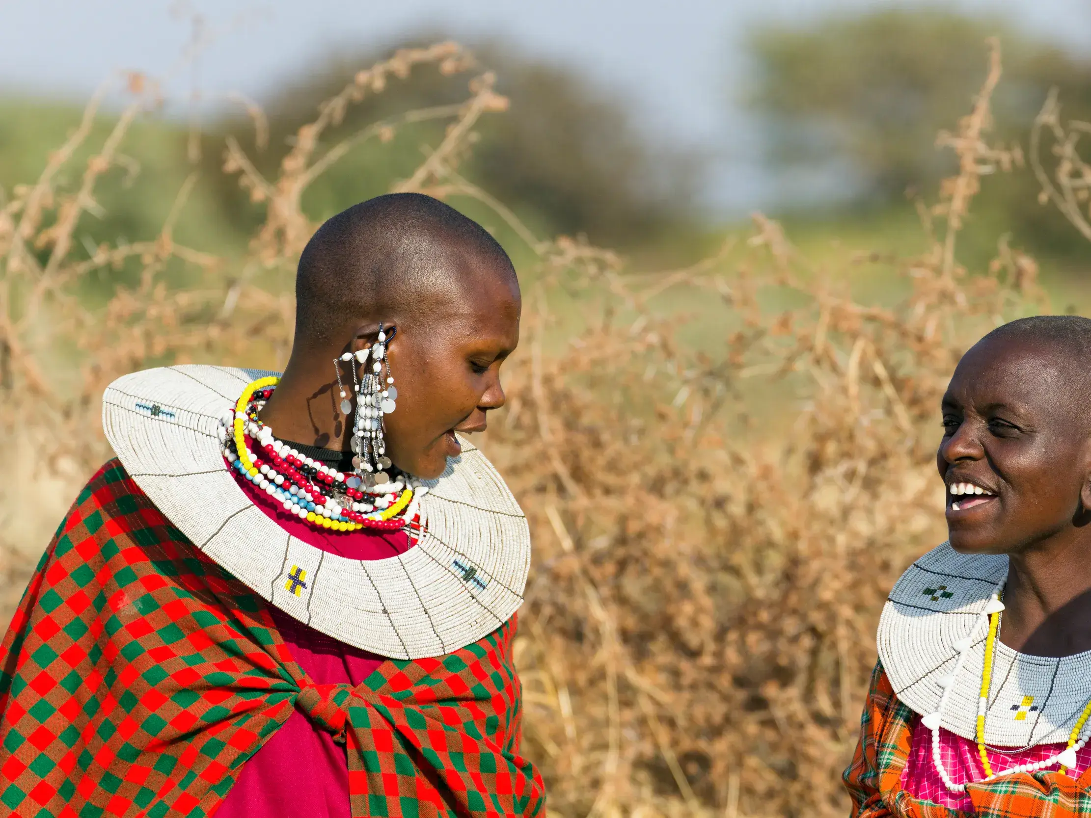 Zwei lächelnde Massai-Frauen mit traditionellem Perlenschmuck und bunten Tüchern im Gespräch in der Savanne Tansanias.