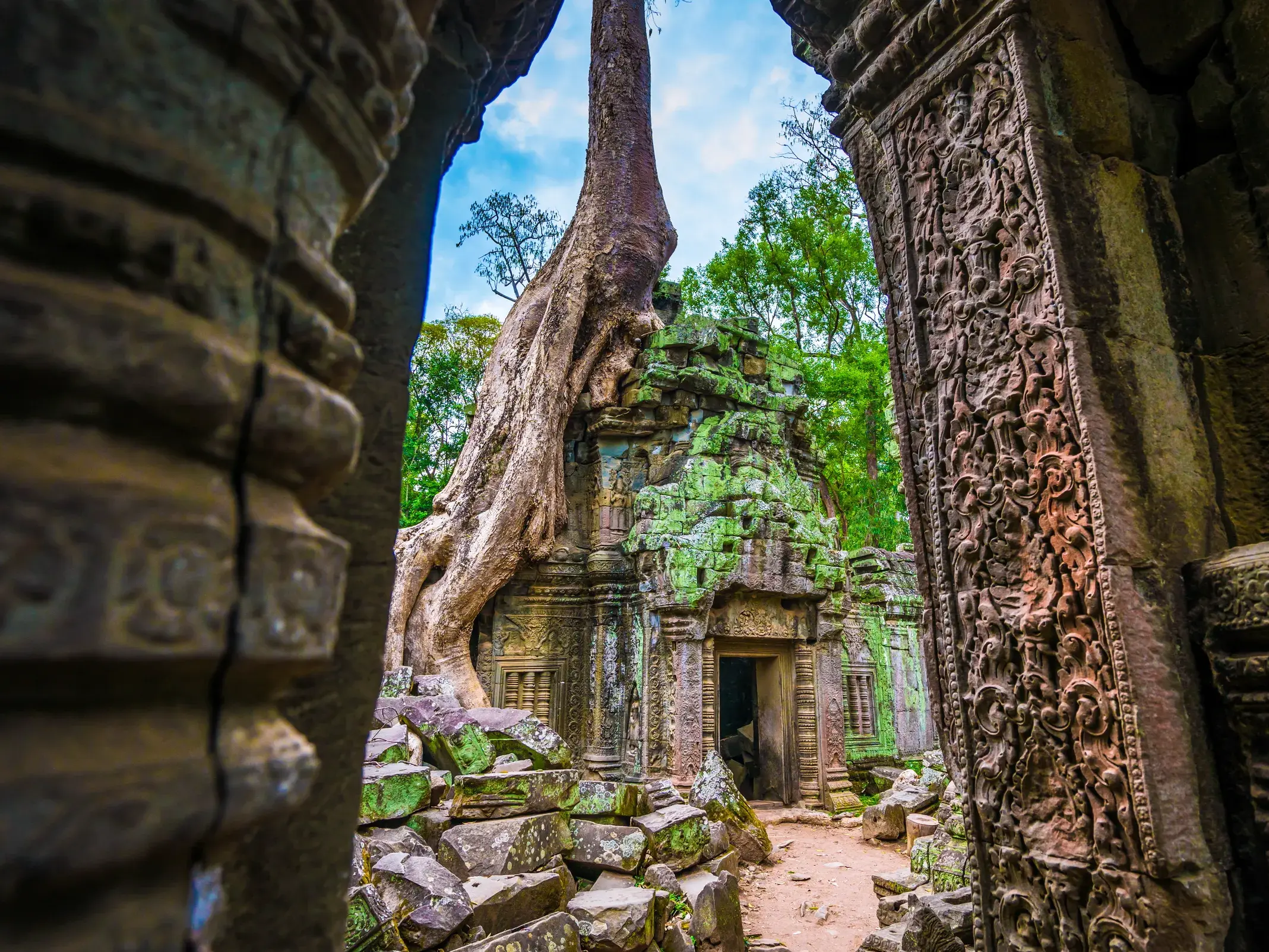 Mächtige Wurzeln einer Würgefeige umklammern die moosbewachsenen Steinruinen des berühmten Ta Prohm Tempels in Angkor/Kambodscha.