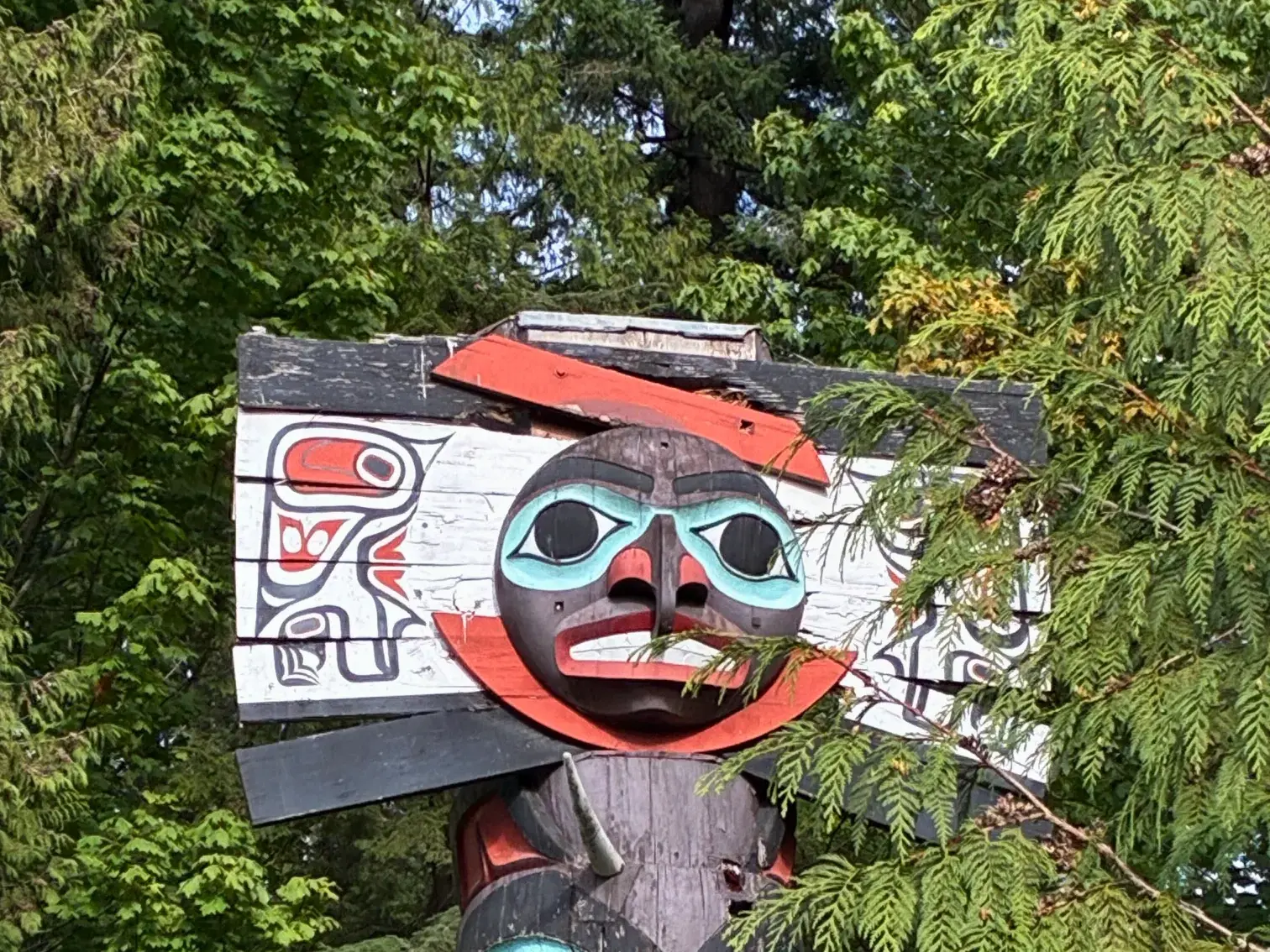 Kunstvoll bemalter Totempfahl der Gitksan-Ureinwohner in British Columbia, umrahmt von grünen Zedernzweigen.