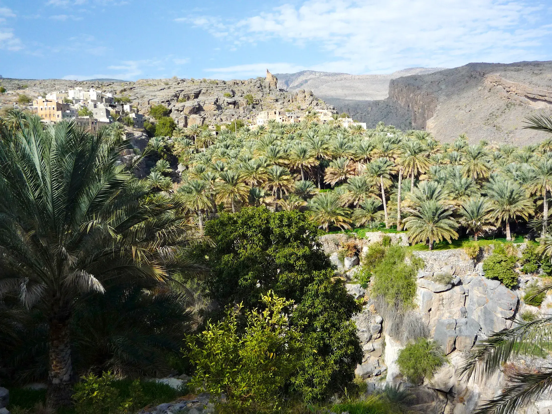 Blick auf das traditionelle Bergdorf Misfat Al Abreyeen und seine grüne Palmenoase im Hadschar-Gebirge des Oman.