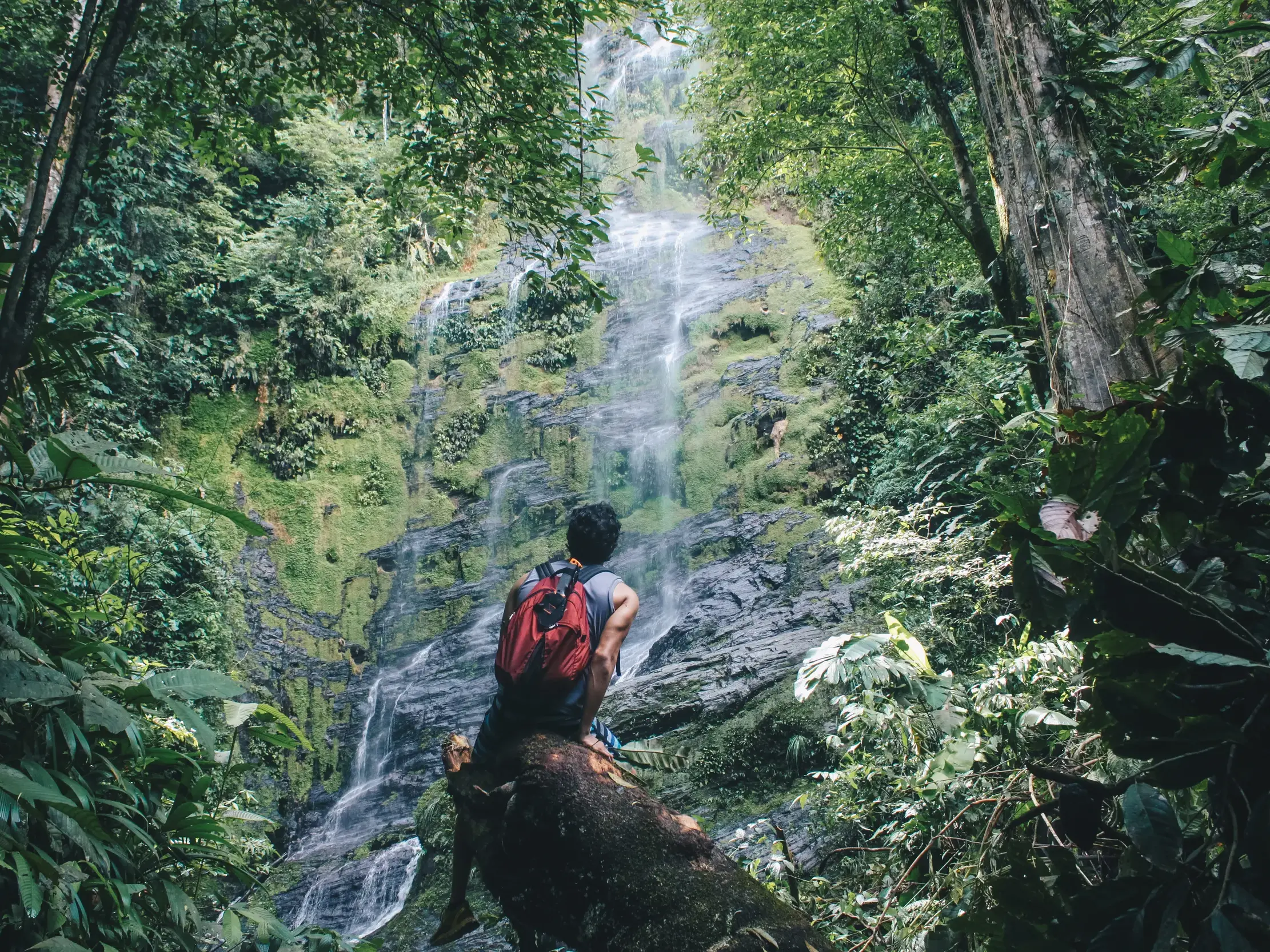 Ein Wanderer mit rotem Rucksack sitzt auf einem Baumstamm und genießt den Blick auf einen Wasserfall im Regenwald von La Réunion.