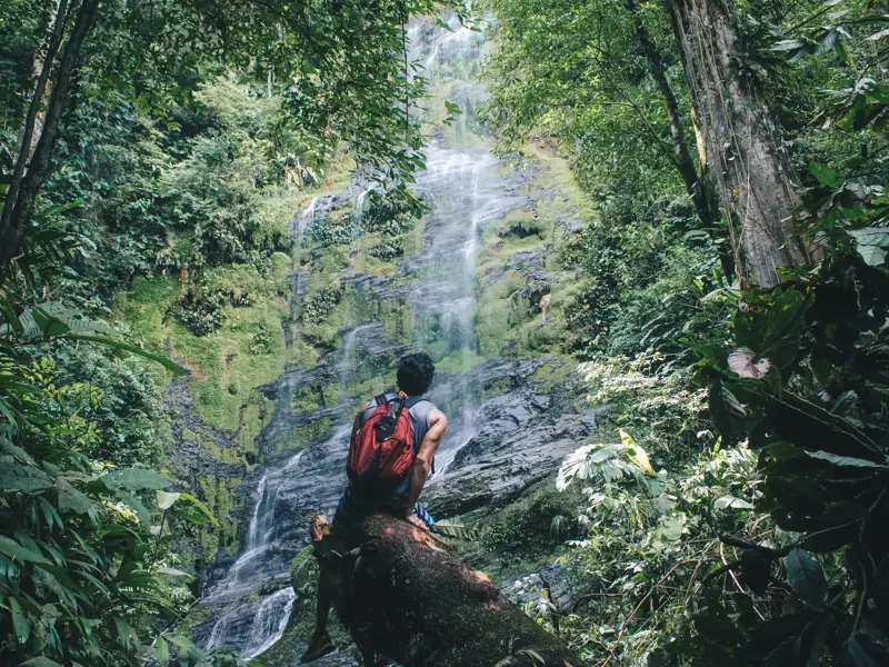 Ein Wanderer mit rotem Rucksack sitzt auf einem Baumstamm und genießt den Blick auf einen Wasserfall im Regenwald von La Réunion.