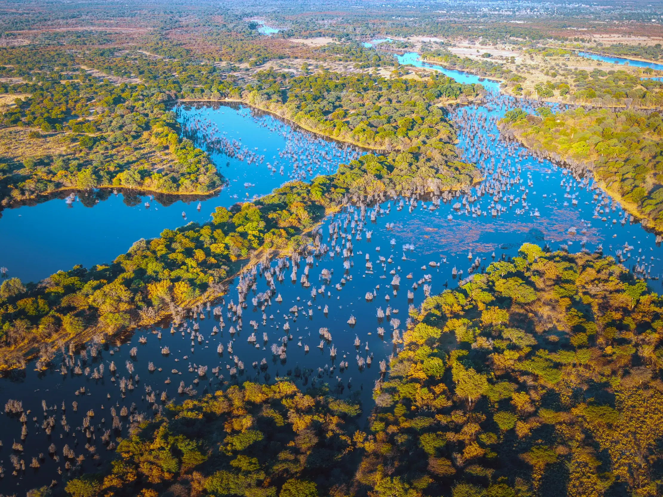 Vogelperspektive auf das UNESCO-Welterbe Okavangodelta in Botswana mit seinen verzweigten Wasserläufen und grünen Inseln.