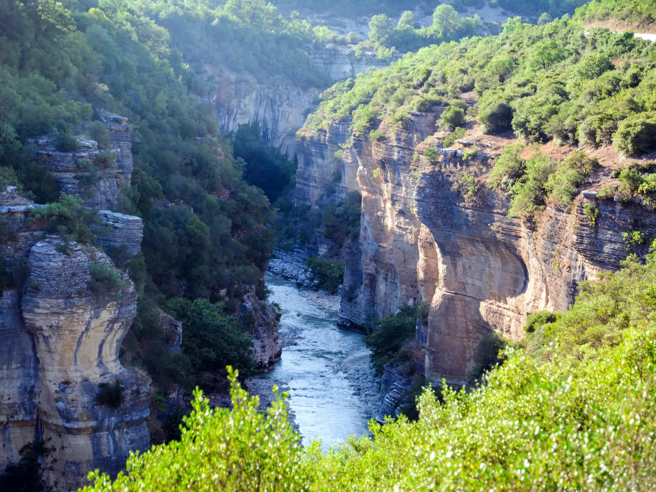 Wanderung im Vjosa Nationalpark: Blick auf den Fluss Vjosa, der sich durch die grüne Kelcyre-Schlucht in Albanien schlängelt.