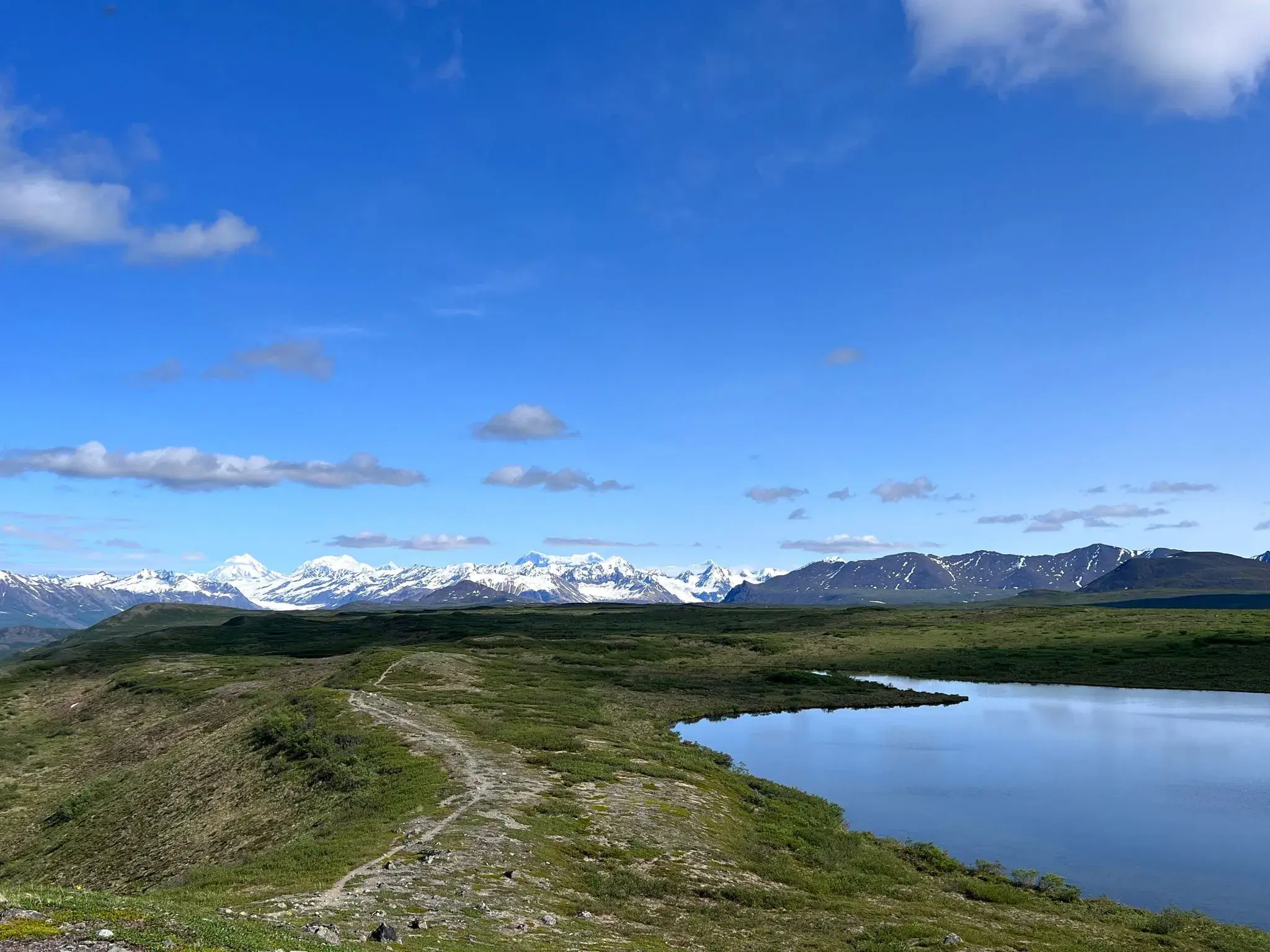 Ein Wanderweg führt durch die weite Tundra im Denali Nationalpark in Alaska mit Blick auf die schneebedeckte Alaska Range.
