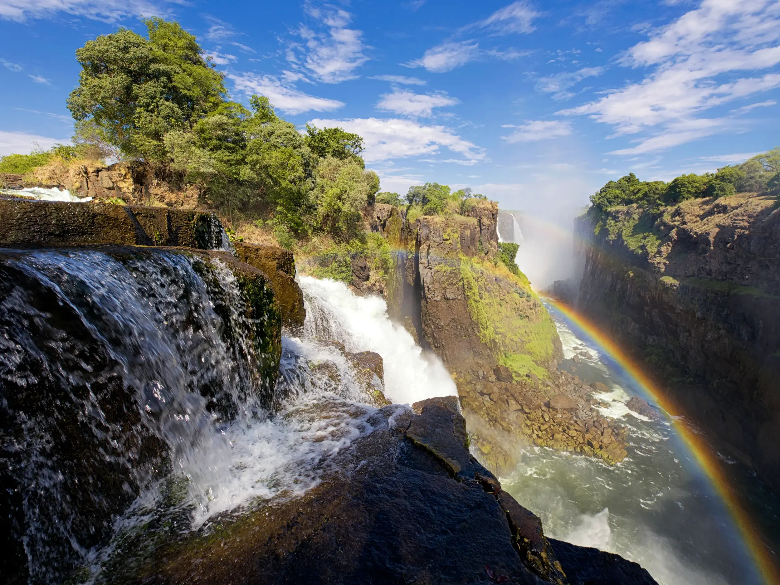 Die tosenden Viktoriafälle in Simbabwe stürzen in eine tiefe Schlucht, über der bei Sonnenschein ein farbenfroher Regenbogen leuchtet.
