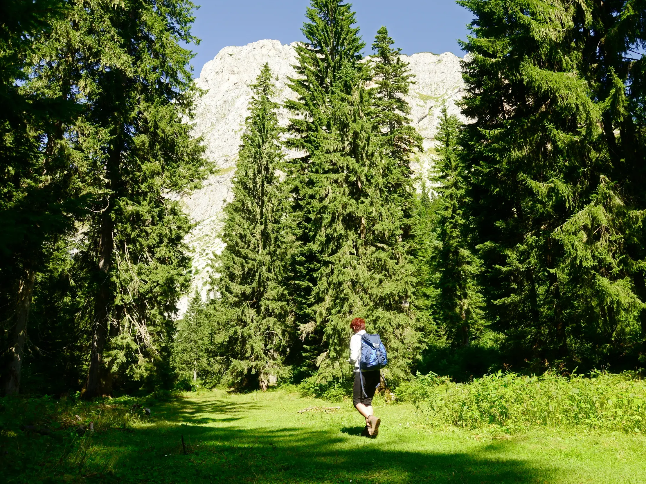 Wanderin auf einem sonnigen Pfad durch einen Nadelwald mit Blick auf einen schroffen Karstgipfel im Durmitor Nationalpark.